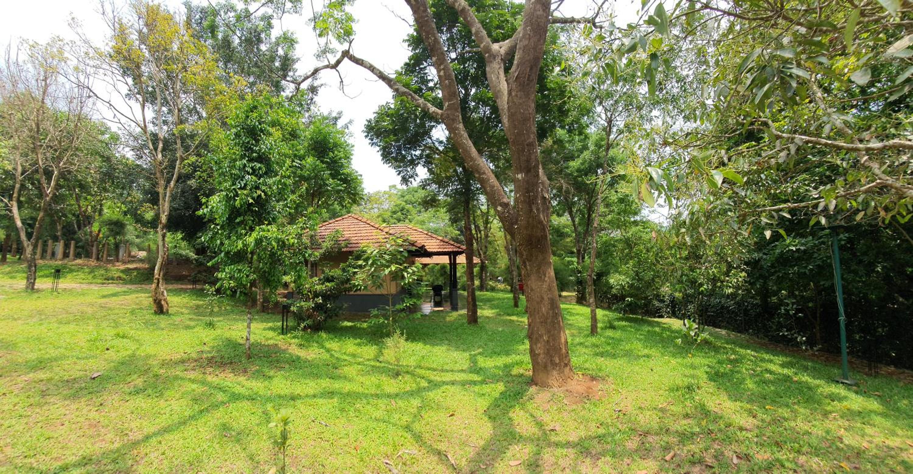 One-Bedroom Cottage - Photo 10