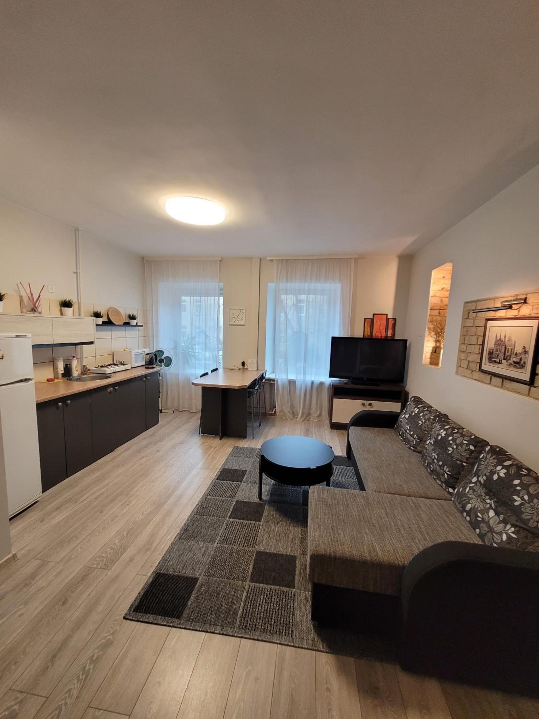 Apartment - Photo 4