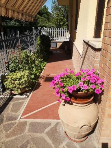Apartment - Ground Floor photo 2