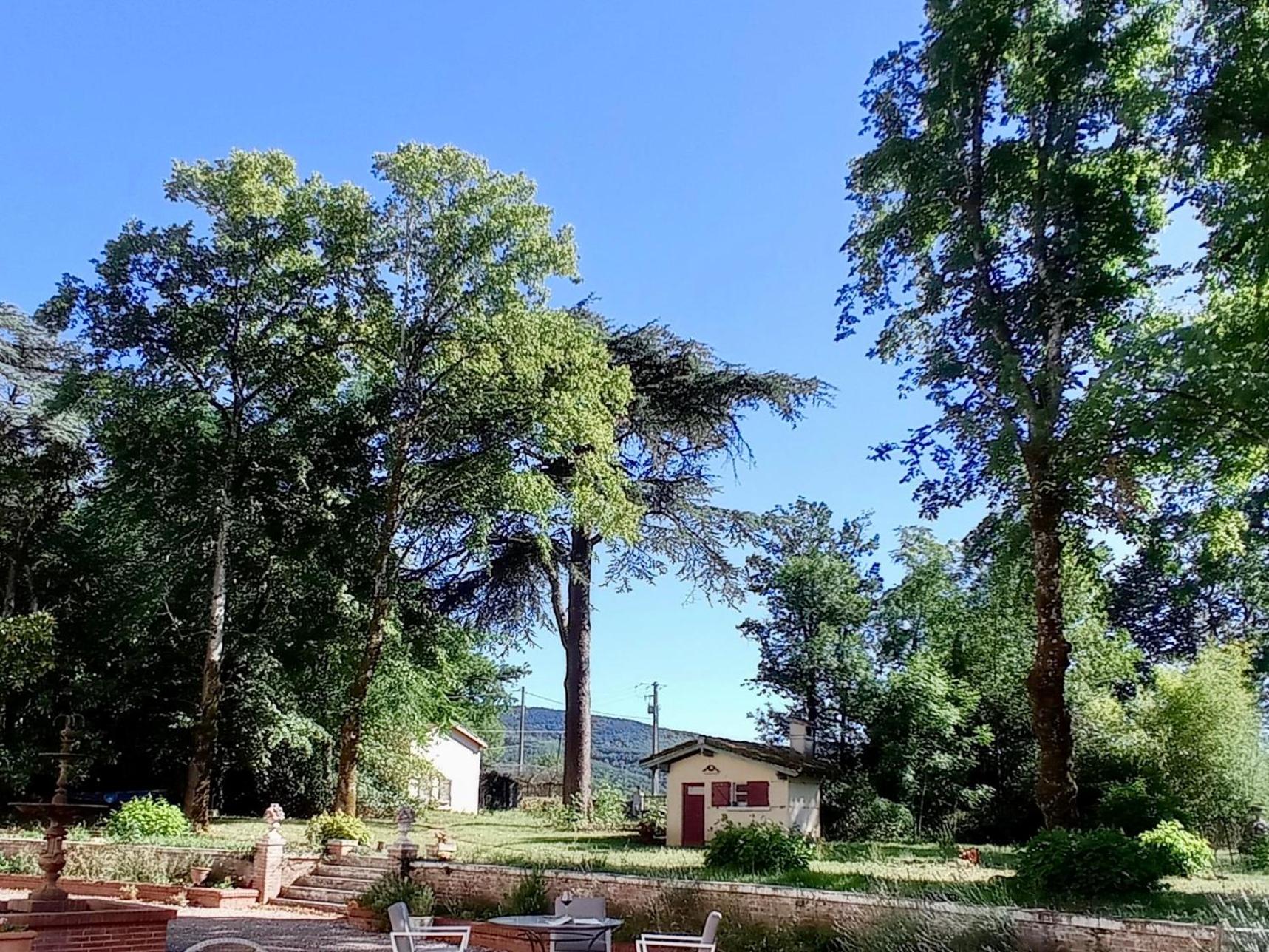 Deluxe Double or Twin Room with Garden View photo 2