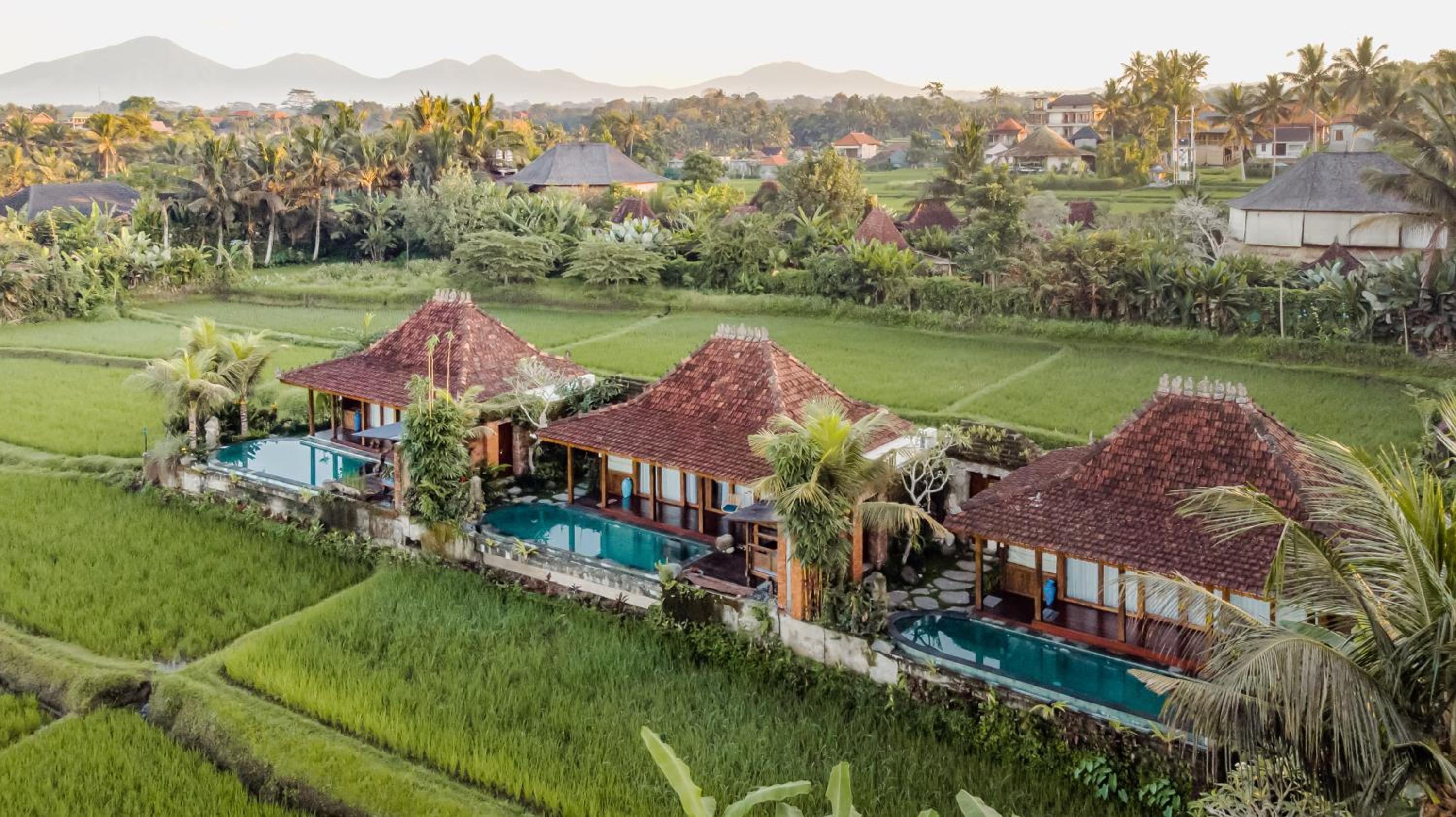 One-Bedroom Villa with Private Pool - Photo 10