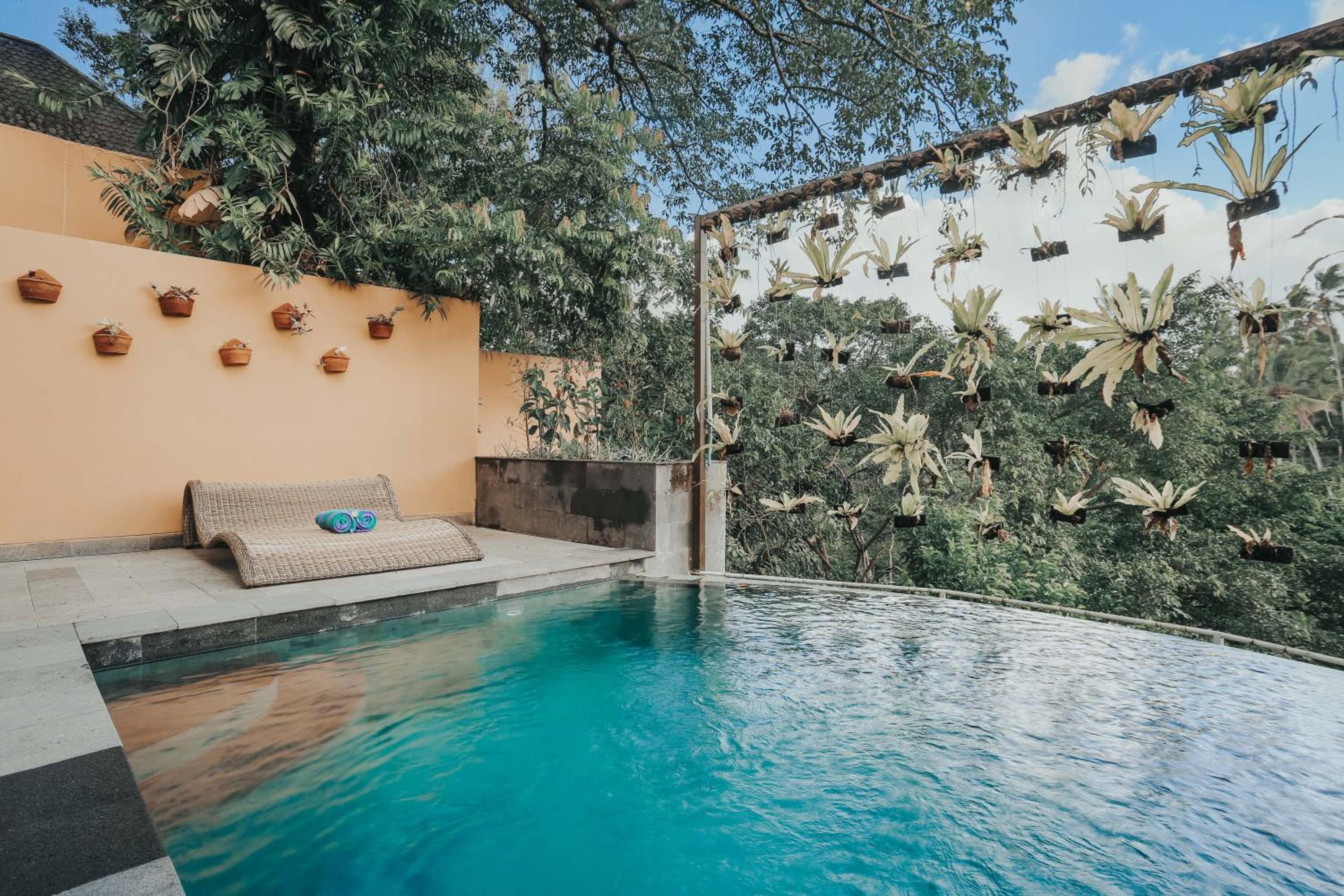 One-Bedroom Villa with Private Pool and Valley View - Photo 10