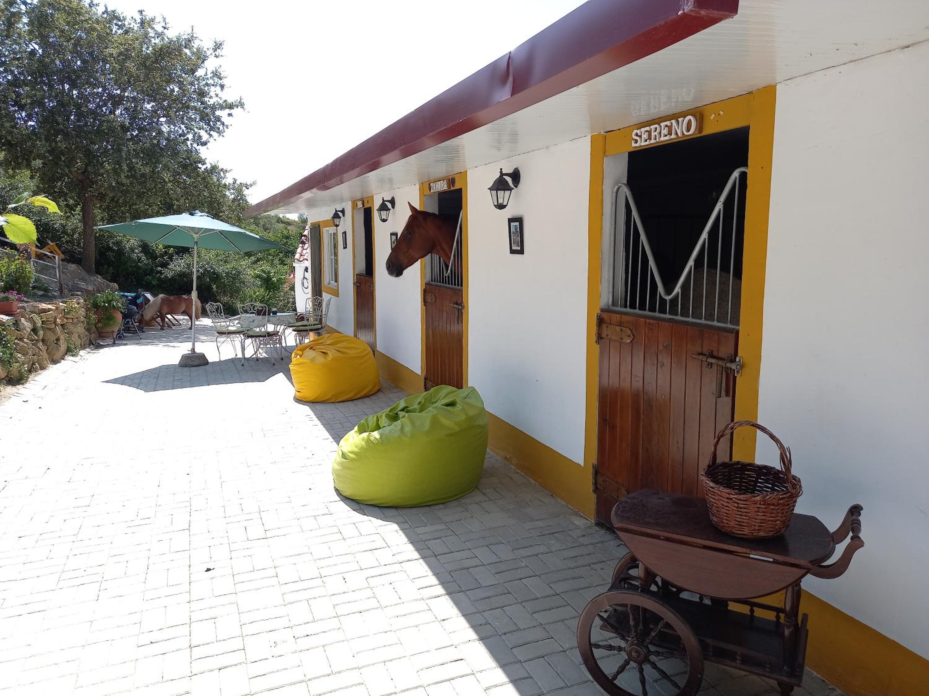 Vacation Home photo 3