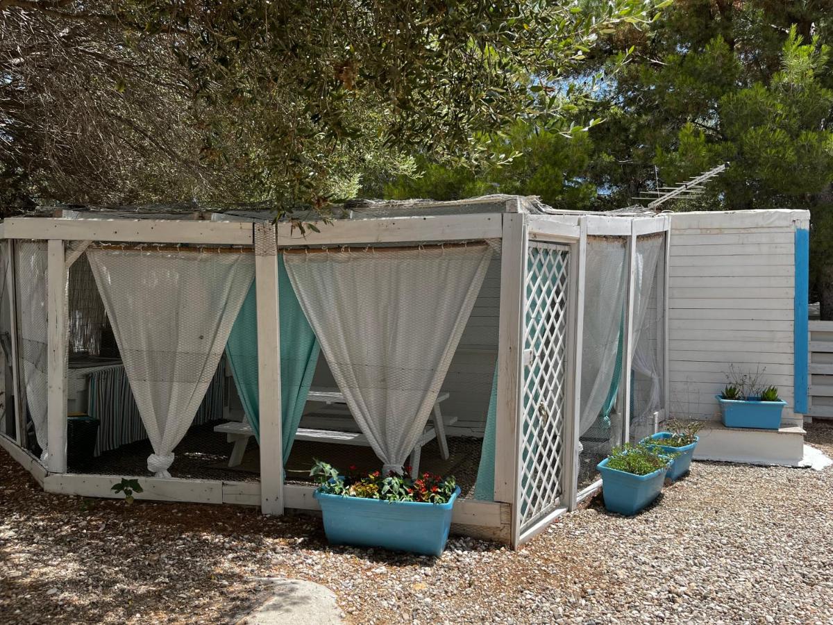 Mobile Home photo 2