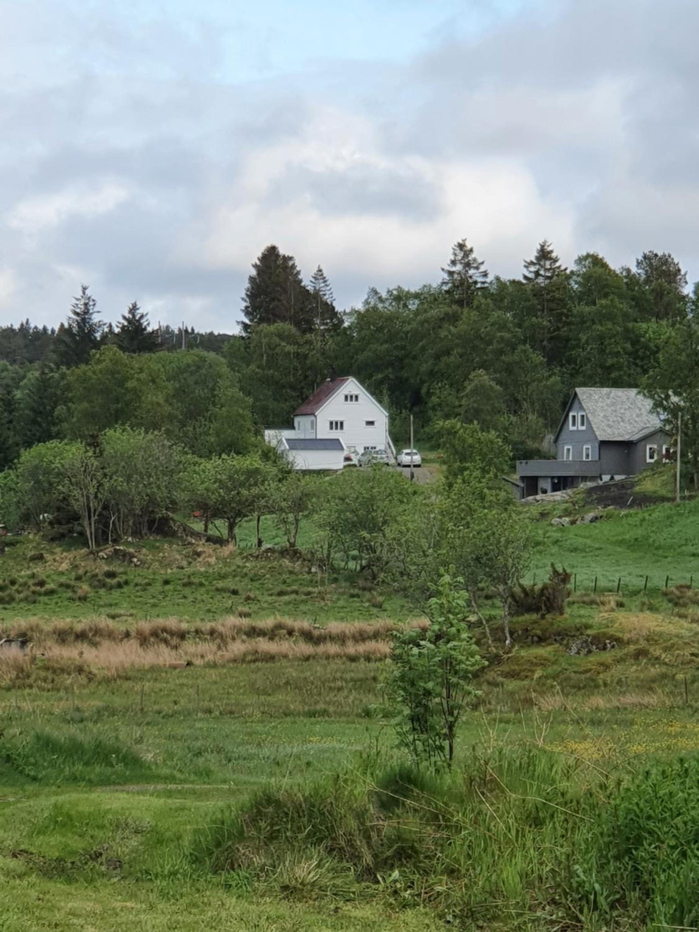 Holiday Home photo 3