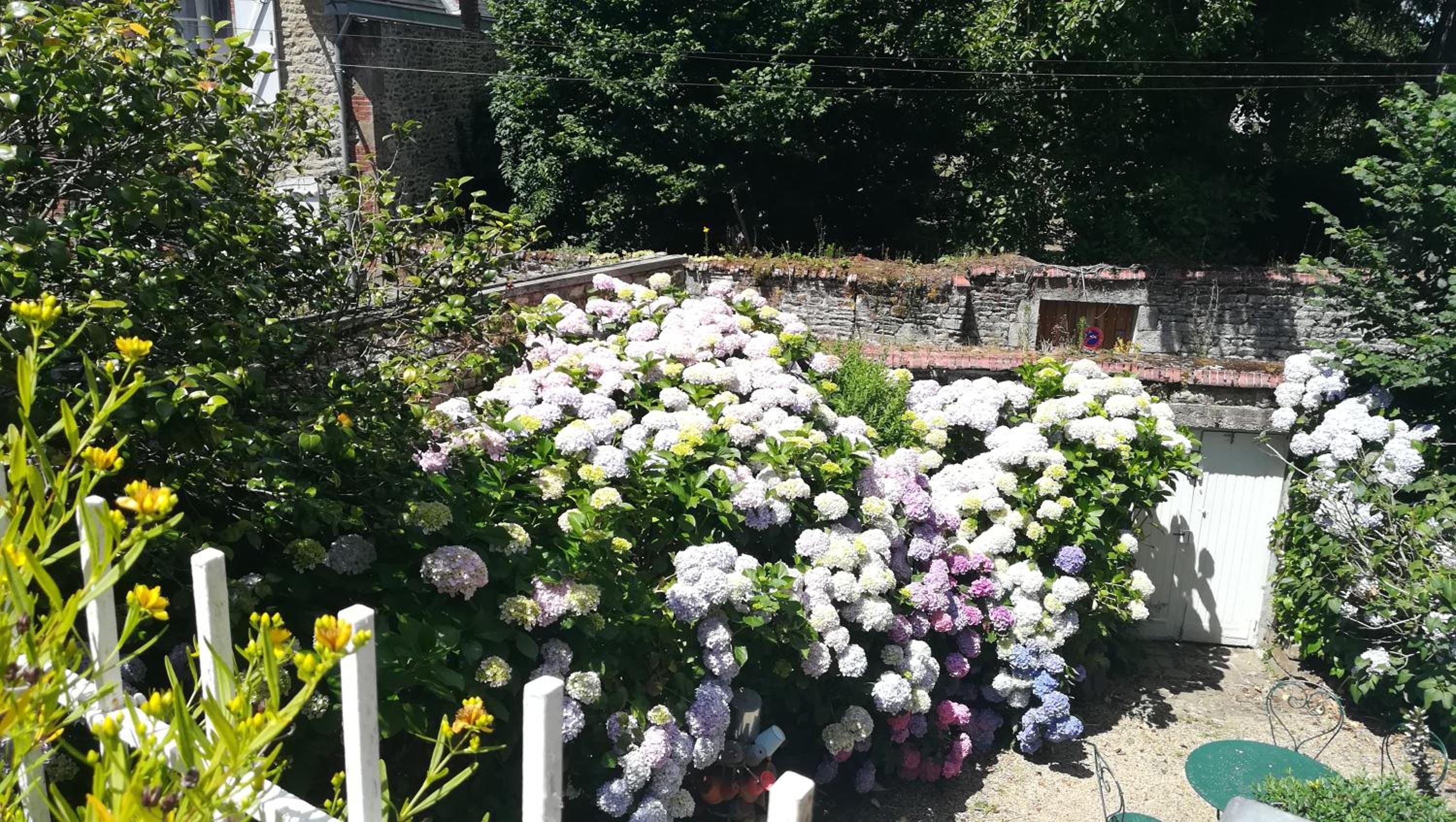 Triple Room with Garden View photo 3