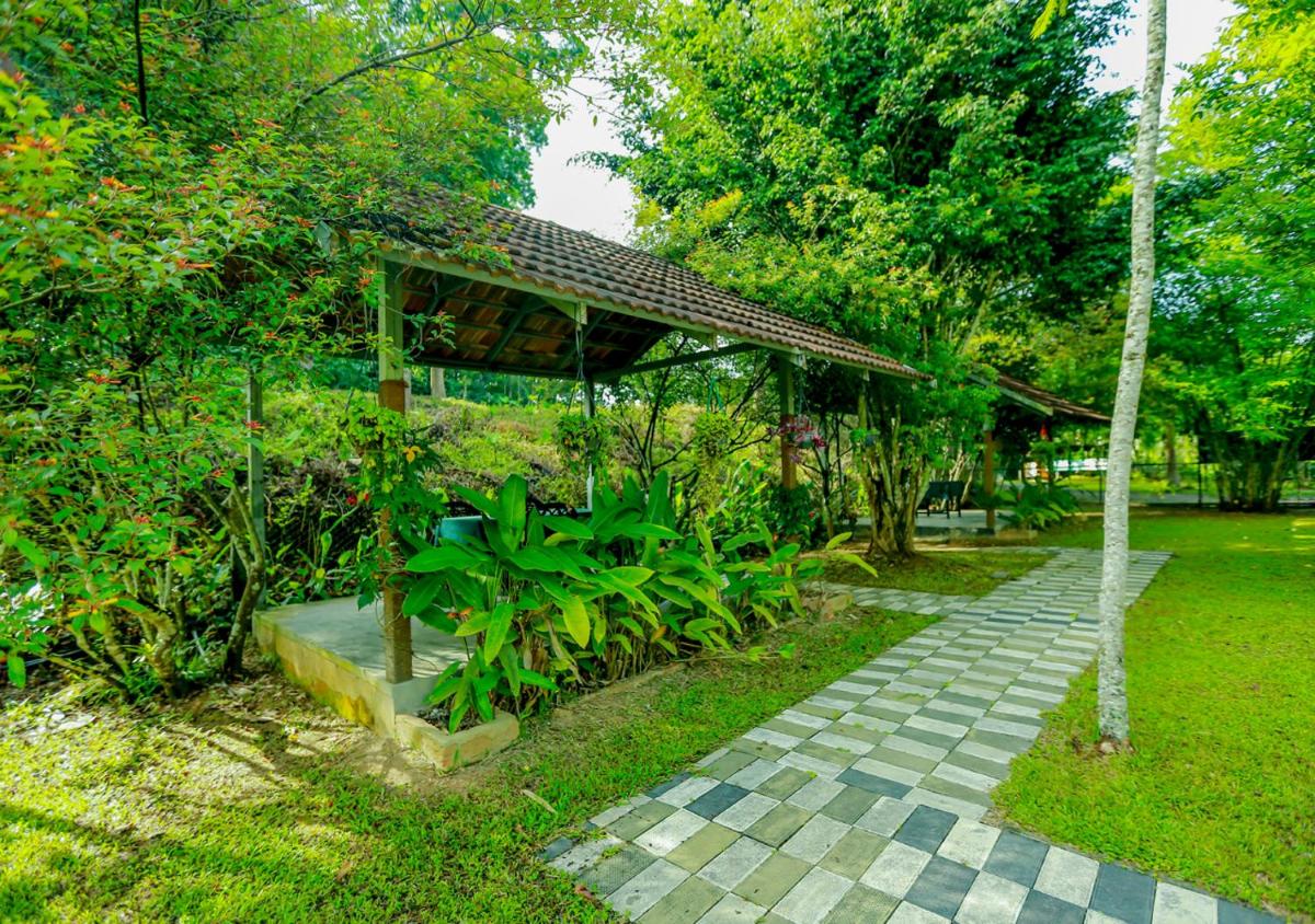 Deluxe Double Room with Balcony photo 3