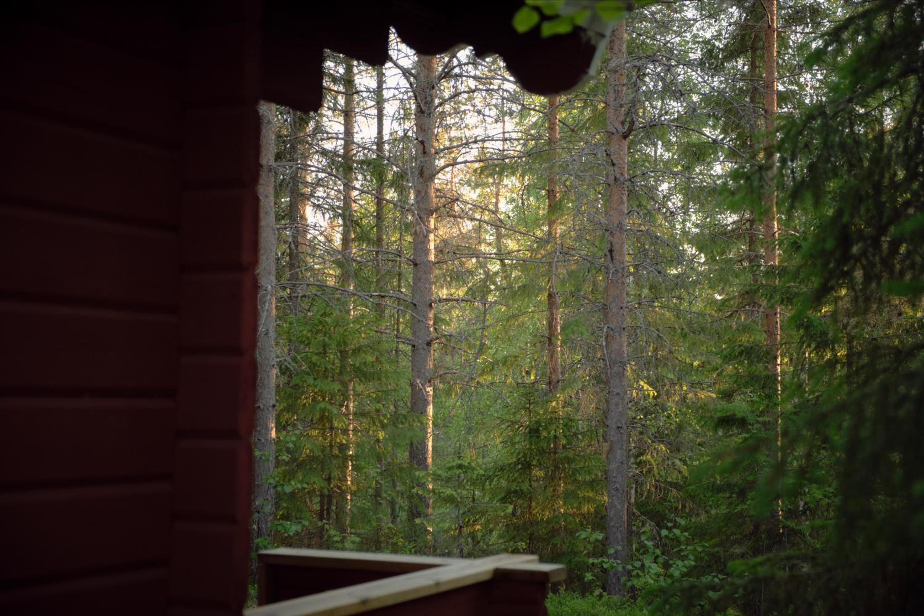 Double Room With Garden View photo 1