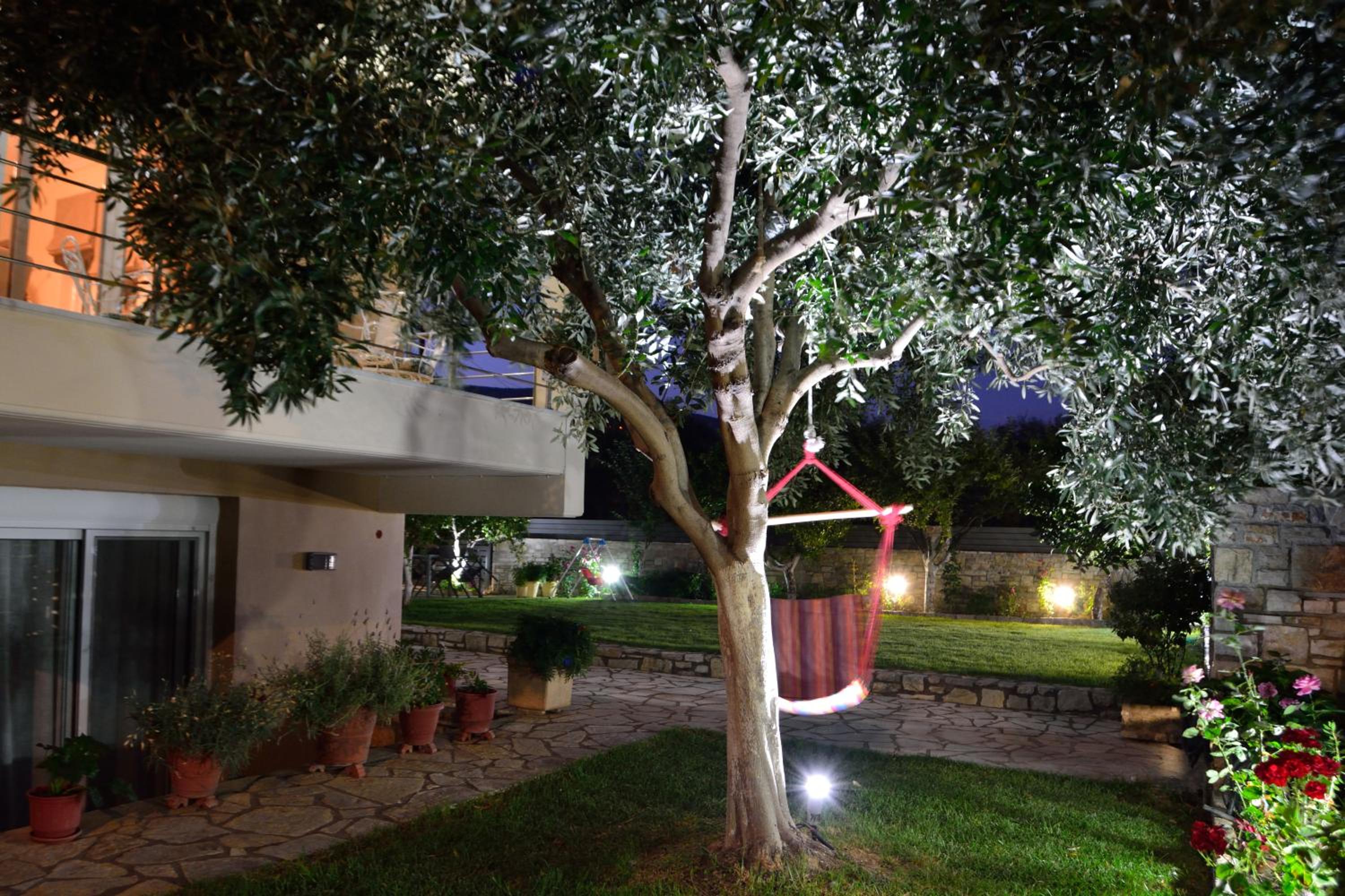 Apartment - Photo 13