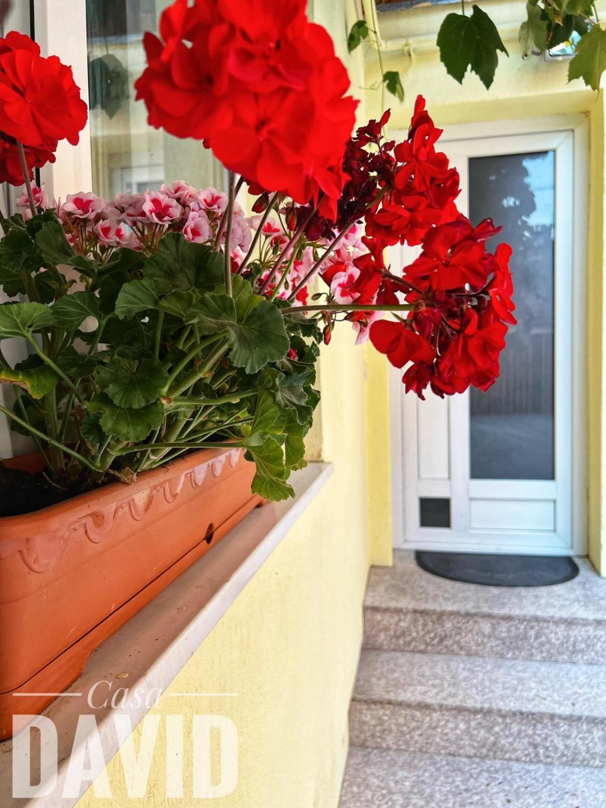 Two-Bedroom House - Photo 19