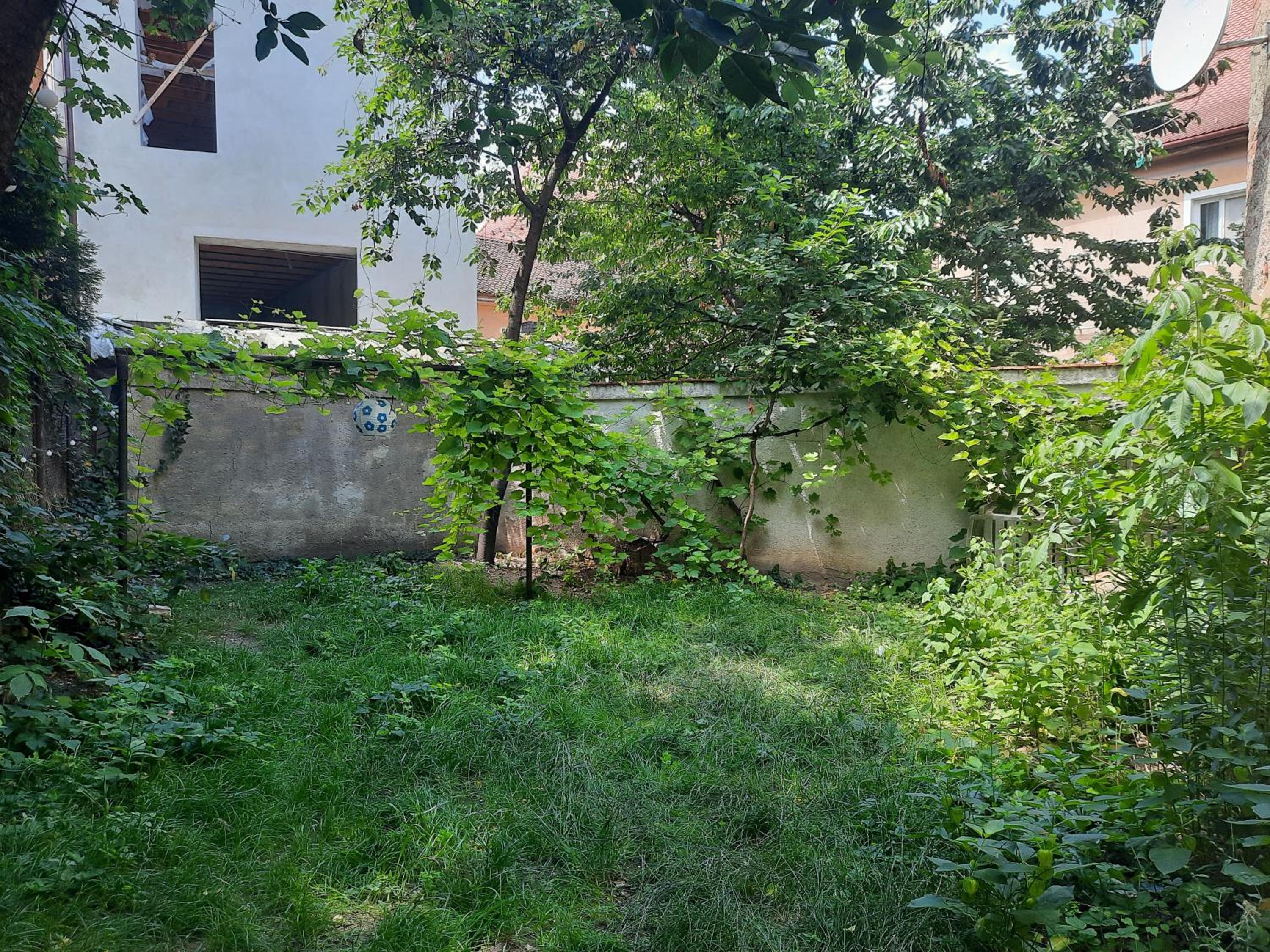 Studio with Mountain View - Photo 21