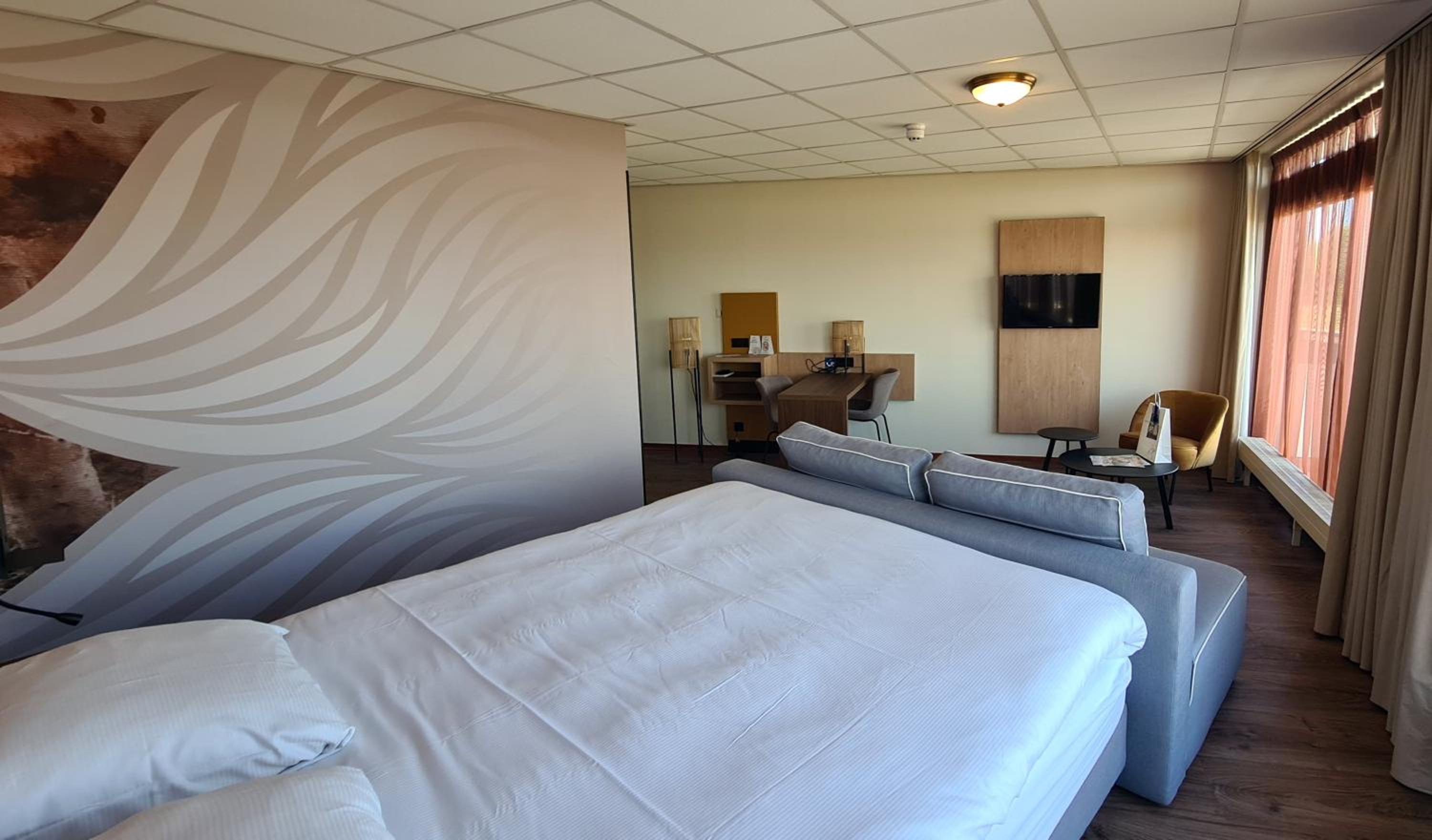 Suite - Photo 2