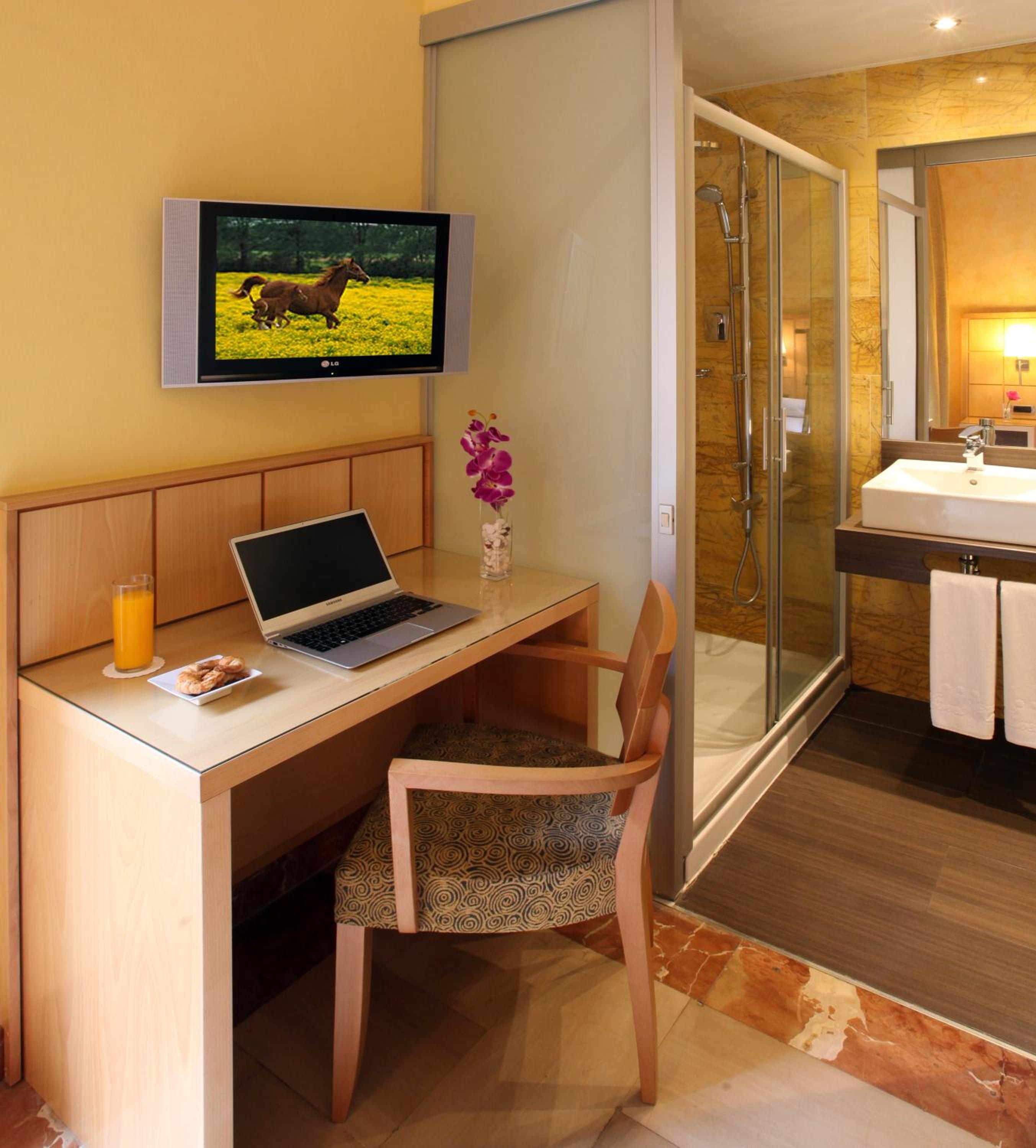 Large Single Room photo 2