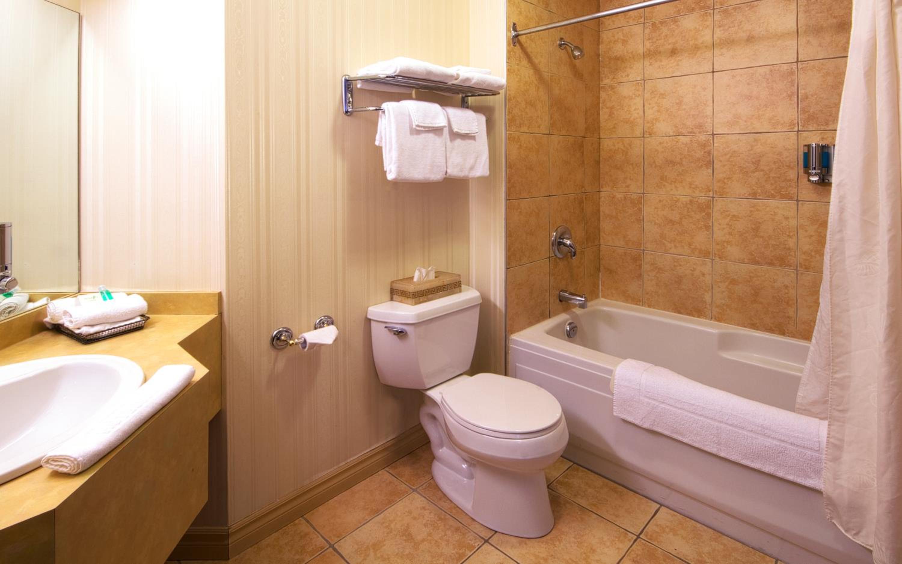 Queen Room With Sofa Bed And Kitchenette photo 2