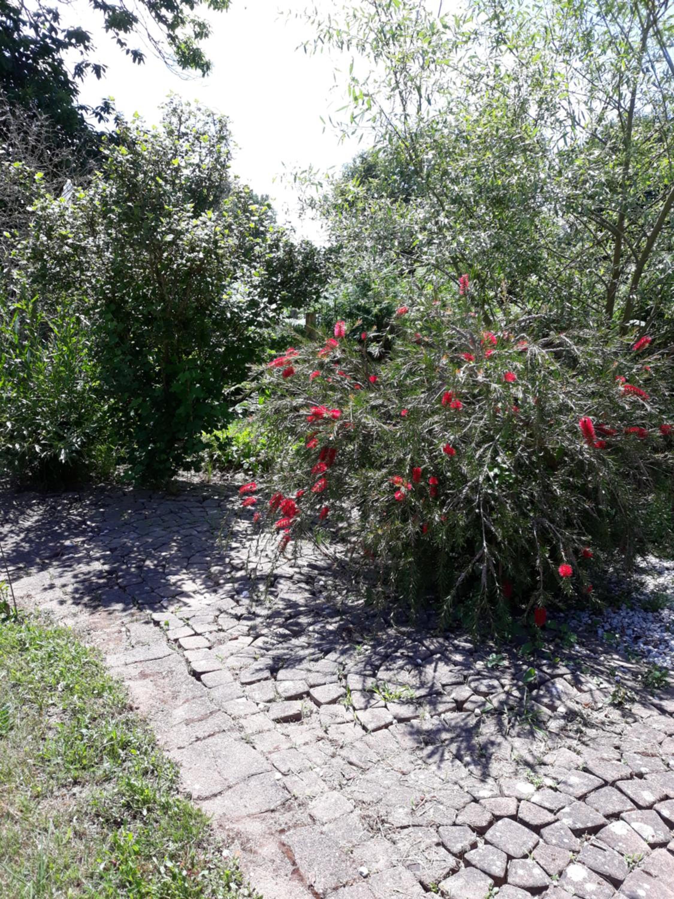 Double Room with Garden View - Photo 1
