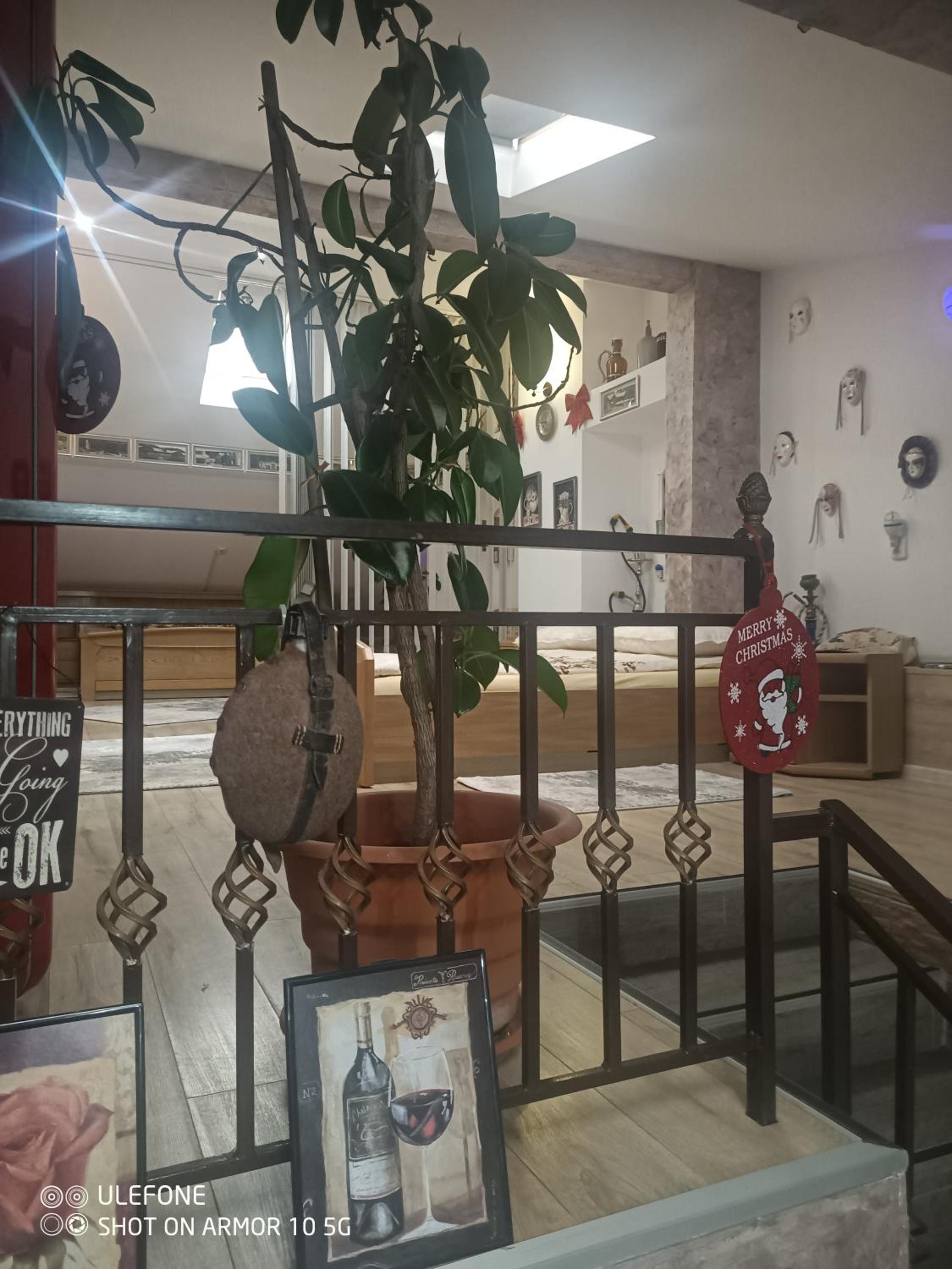 Apartment with Terrace - Photo 18