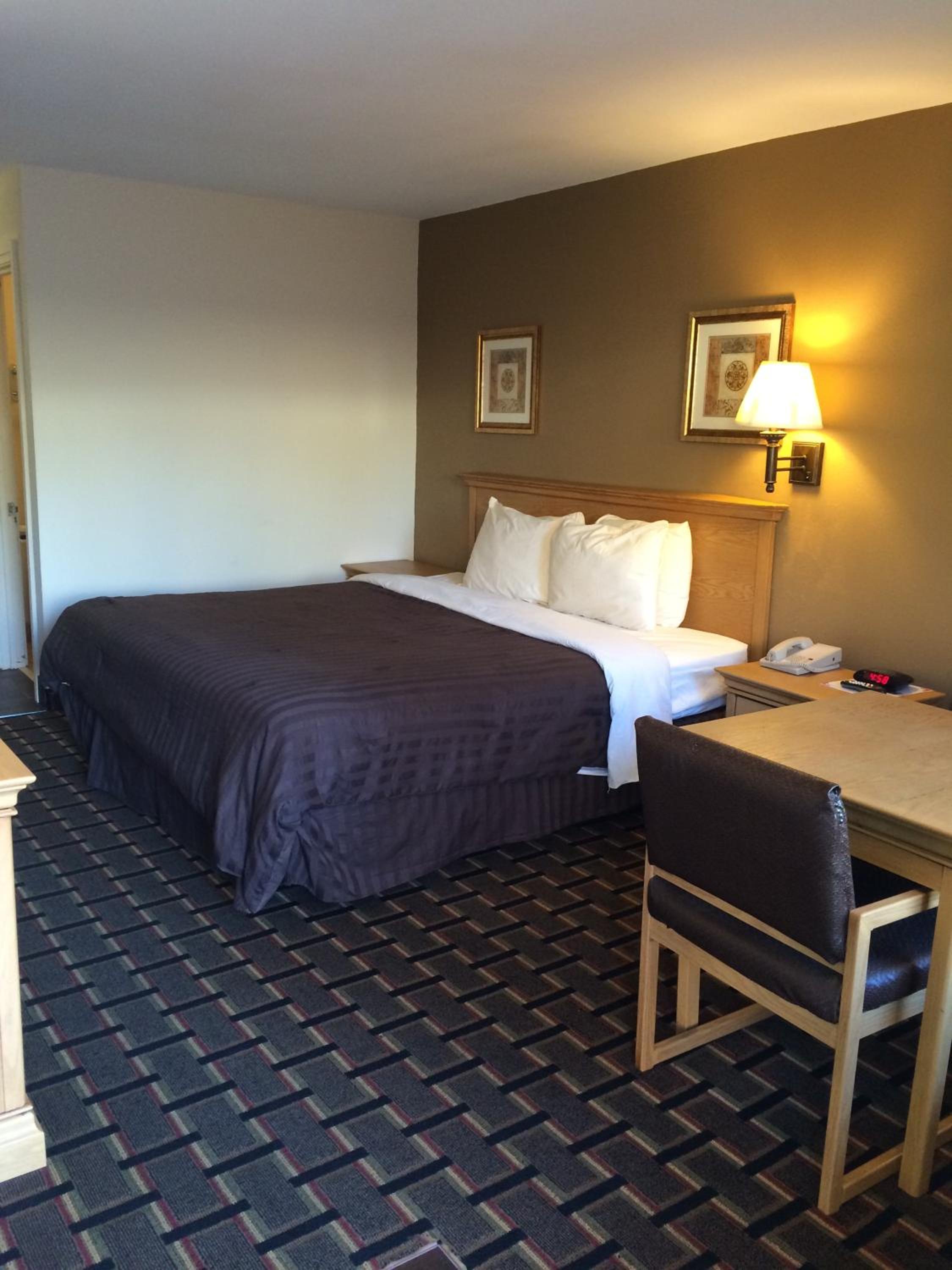 King Suite photo 1