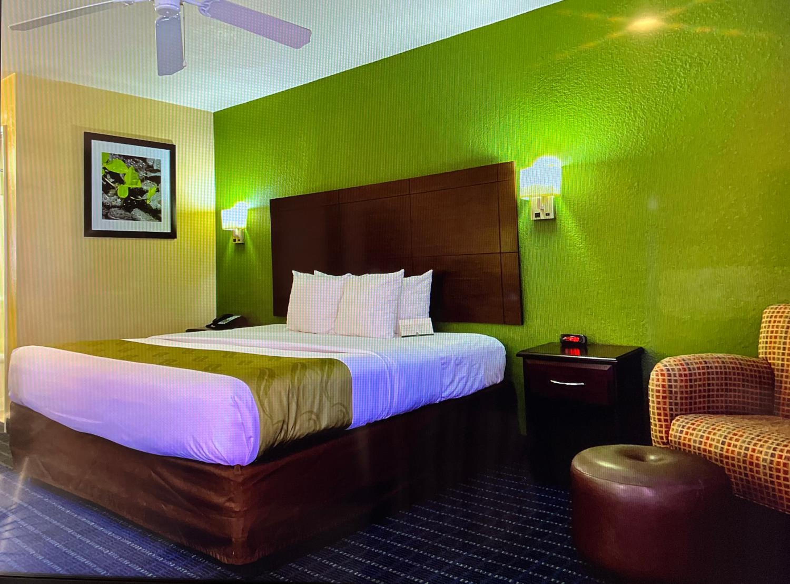 King Room - Non-Smoking photo 1