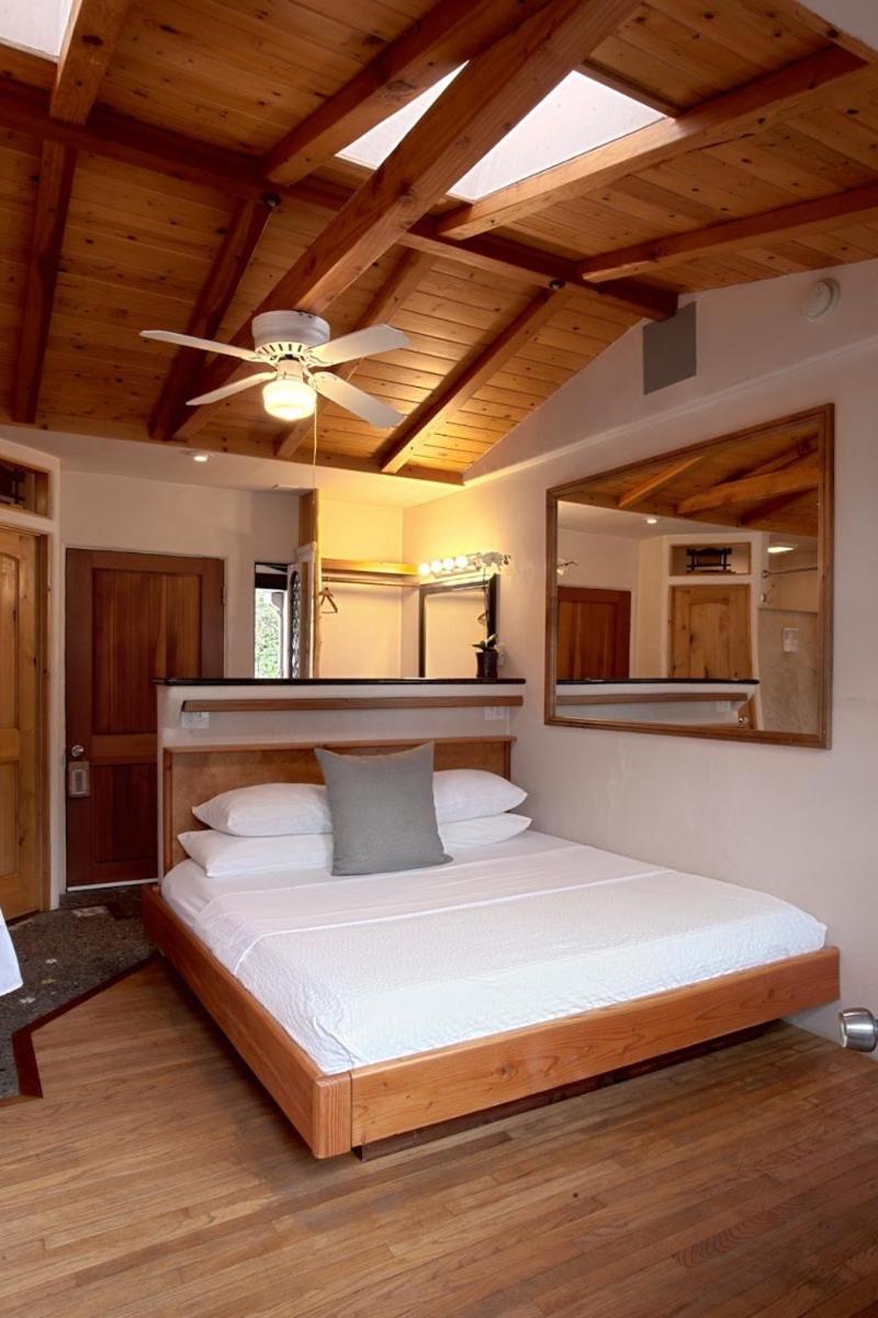 Standard King Room with Ocean View