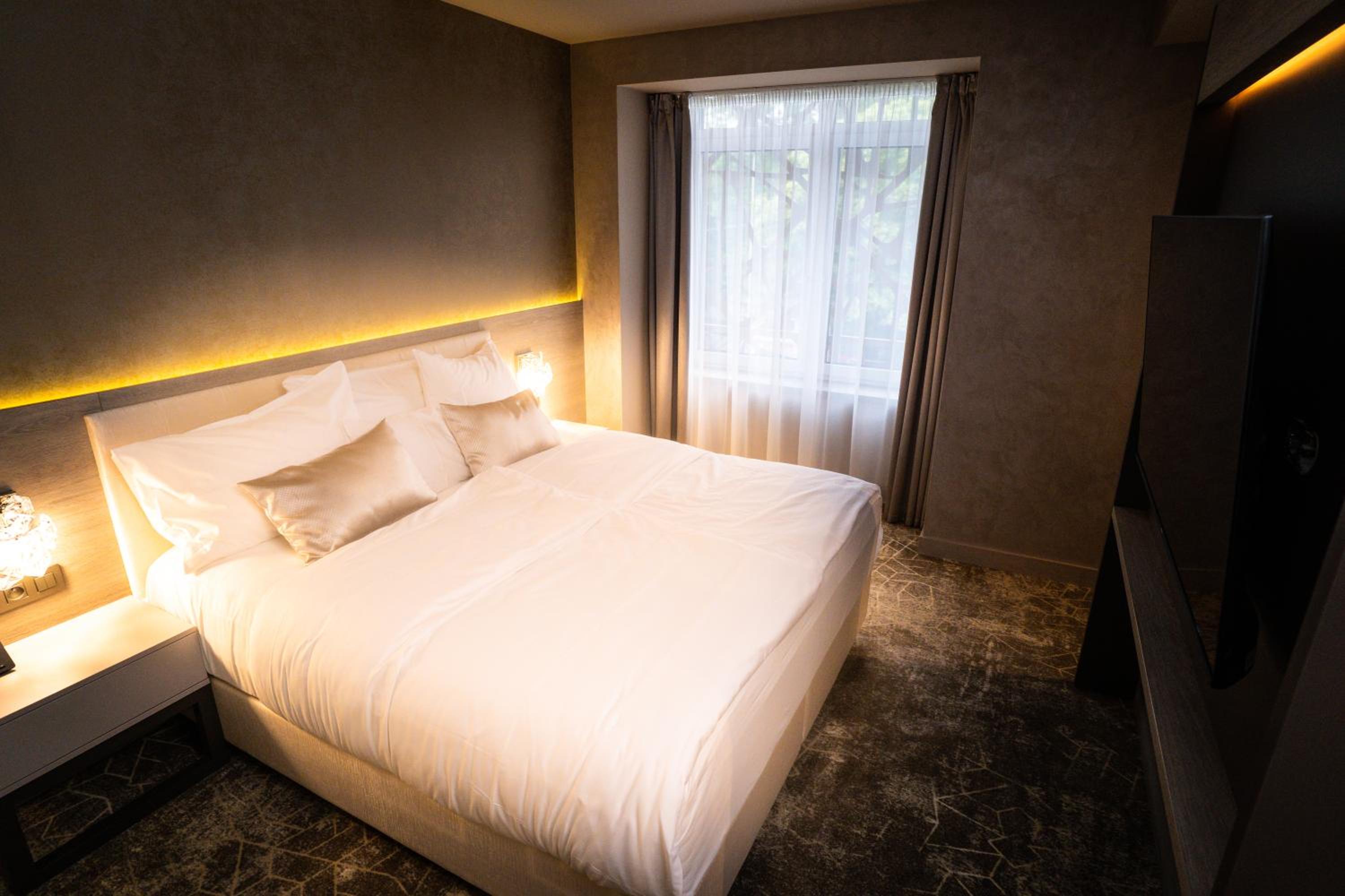 Deluxe Suite - Photo 19
