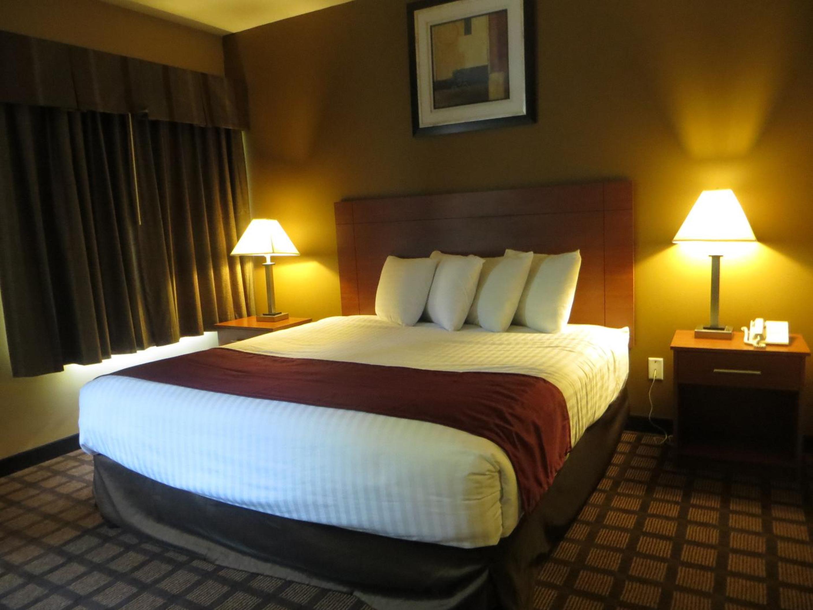 Deluxe King Studio Suite - Non-Smoking - Photo 1