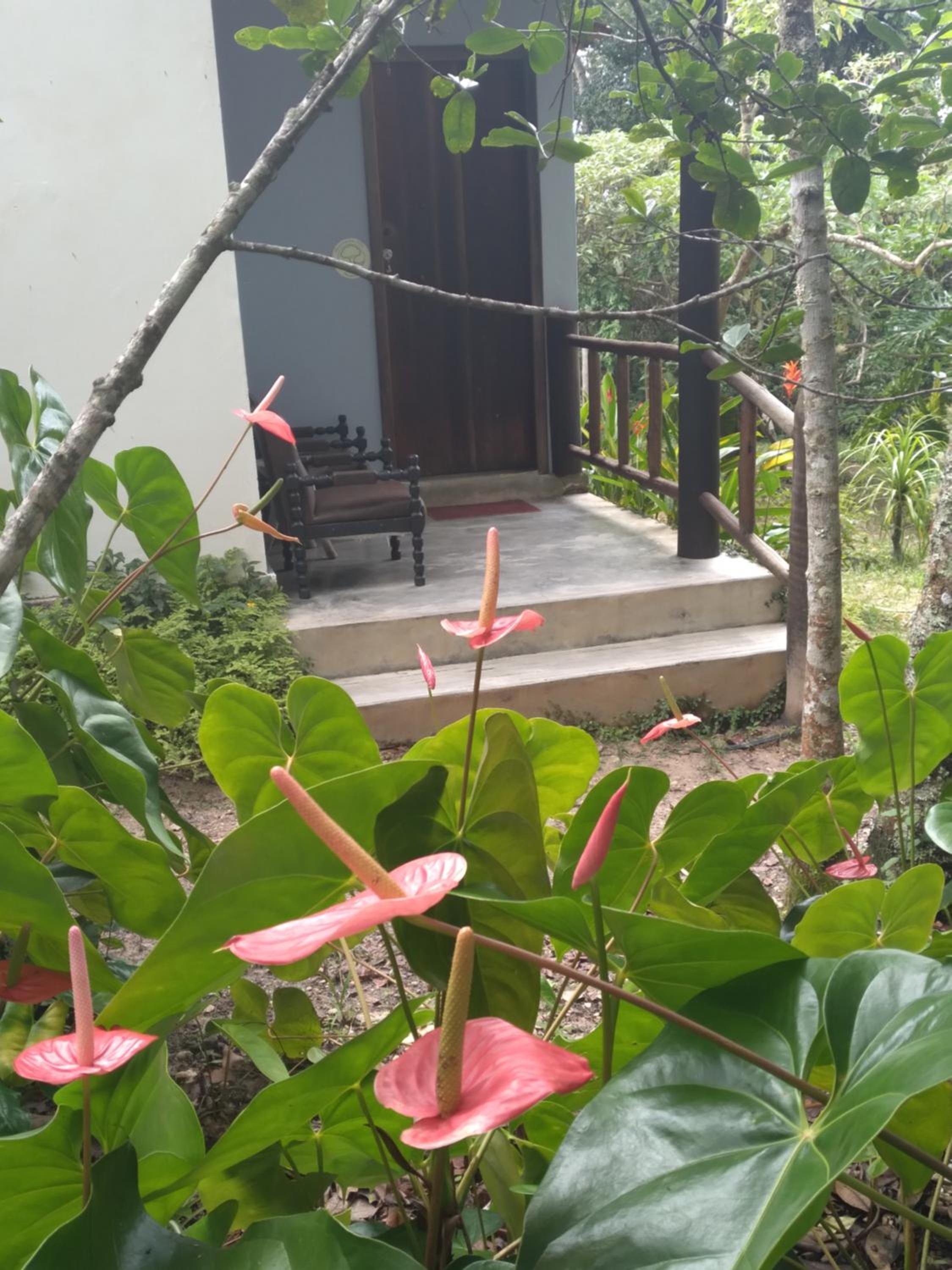 Triple Room with Garden View - Photo 4