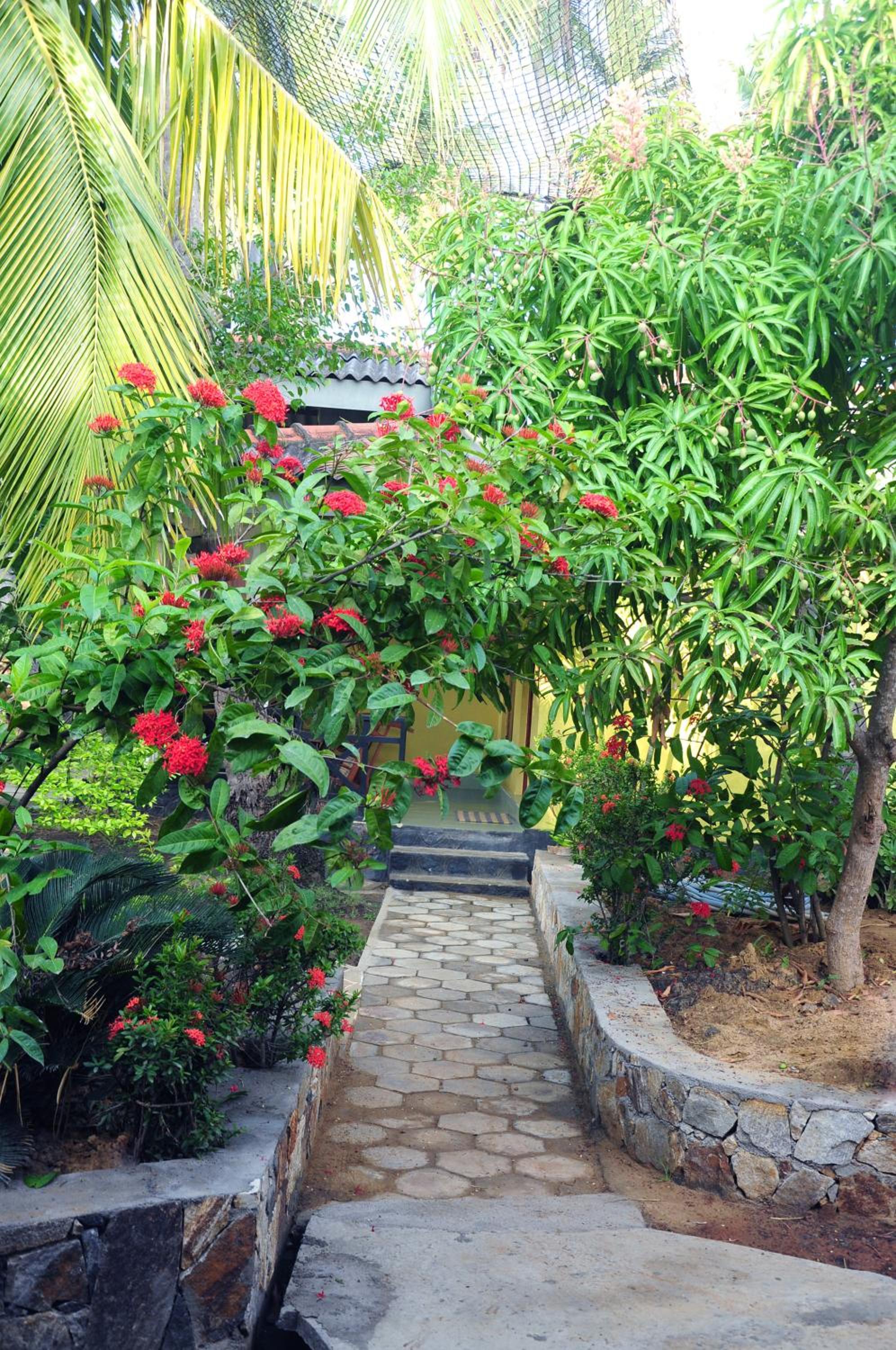 Standard Double Room with Fan & Garden view photo 2
