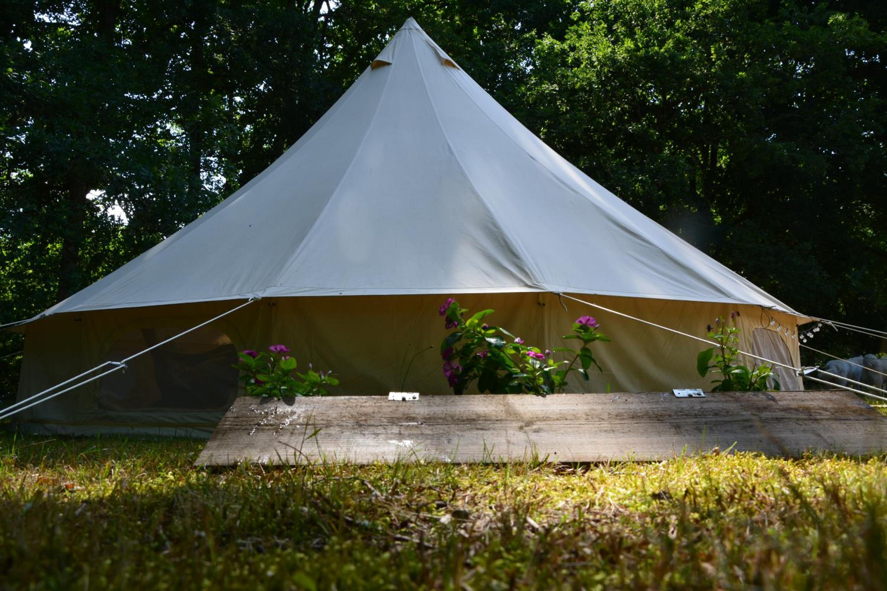Tent - Photo 8