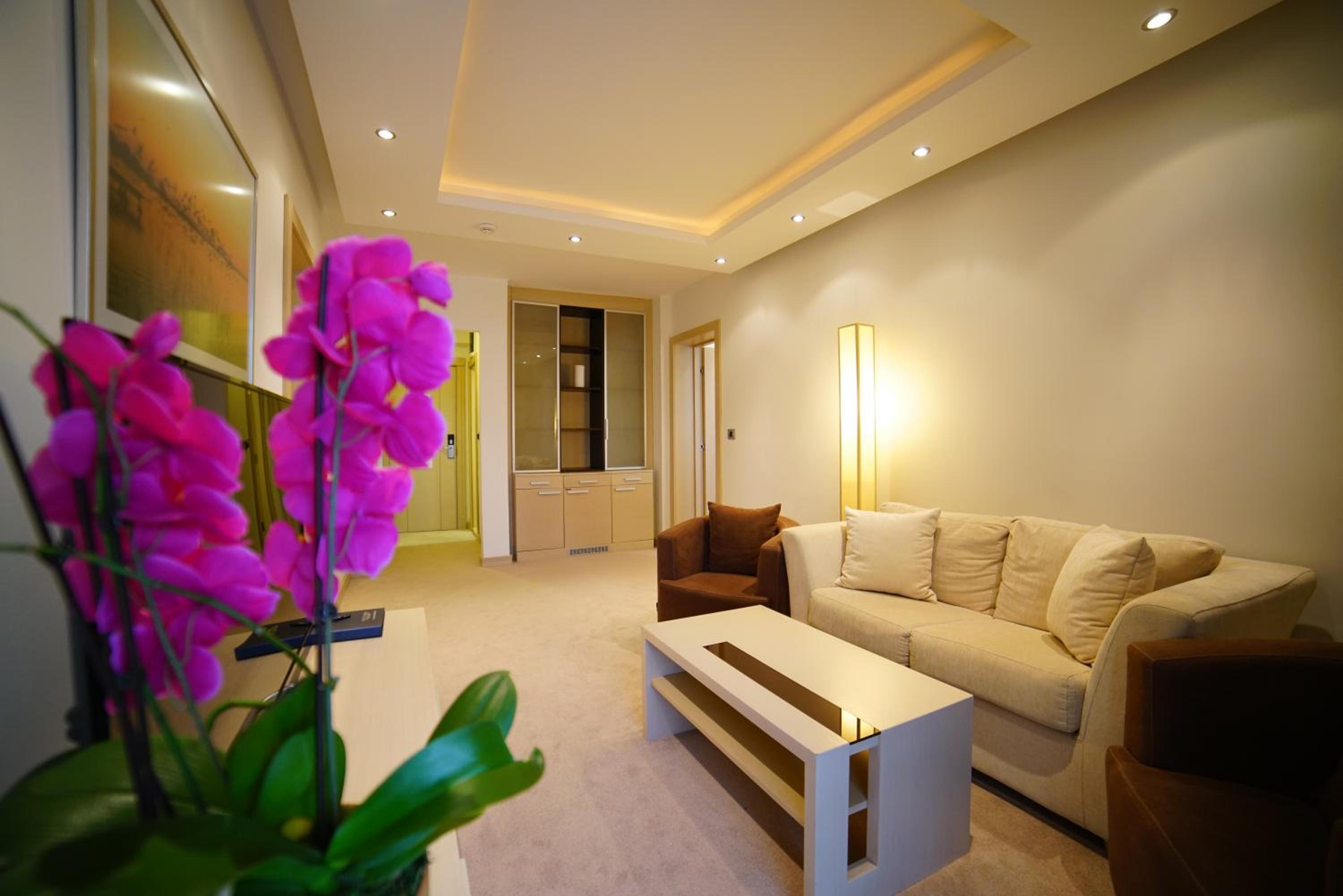 Suite - Photo 5