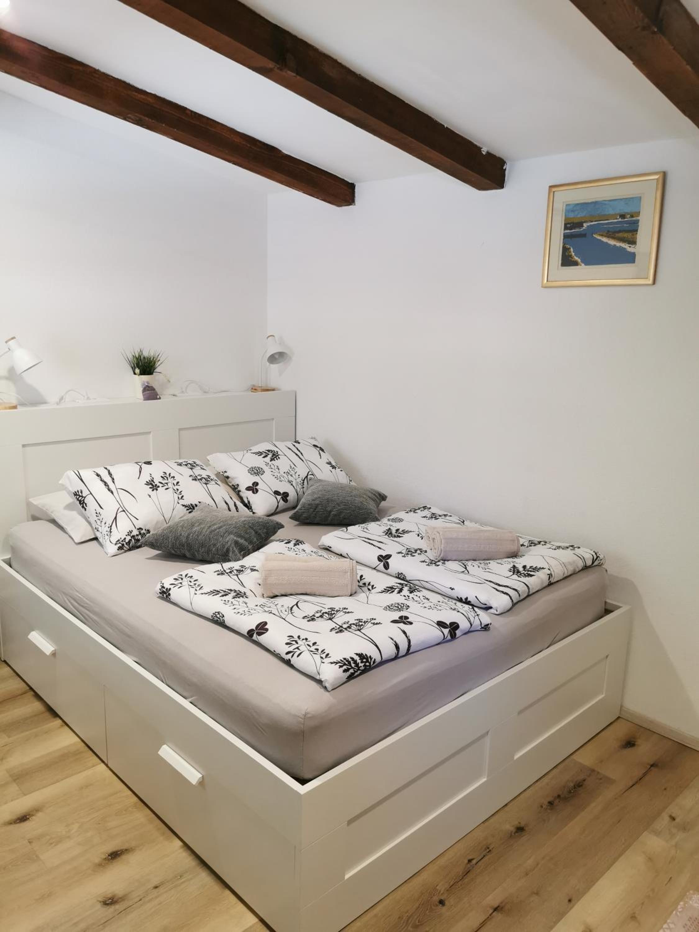 Studio Apartment photo 1