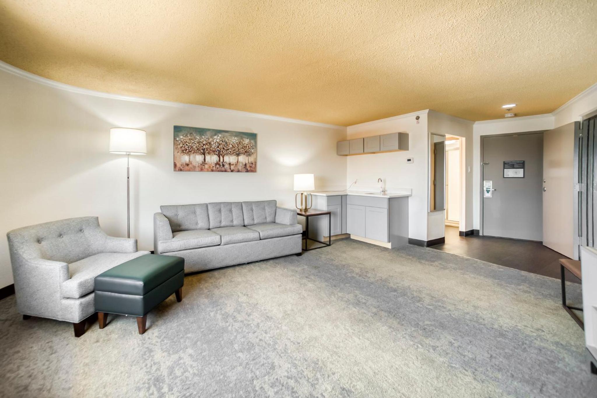 King Suite - Photo 8
