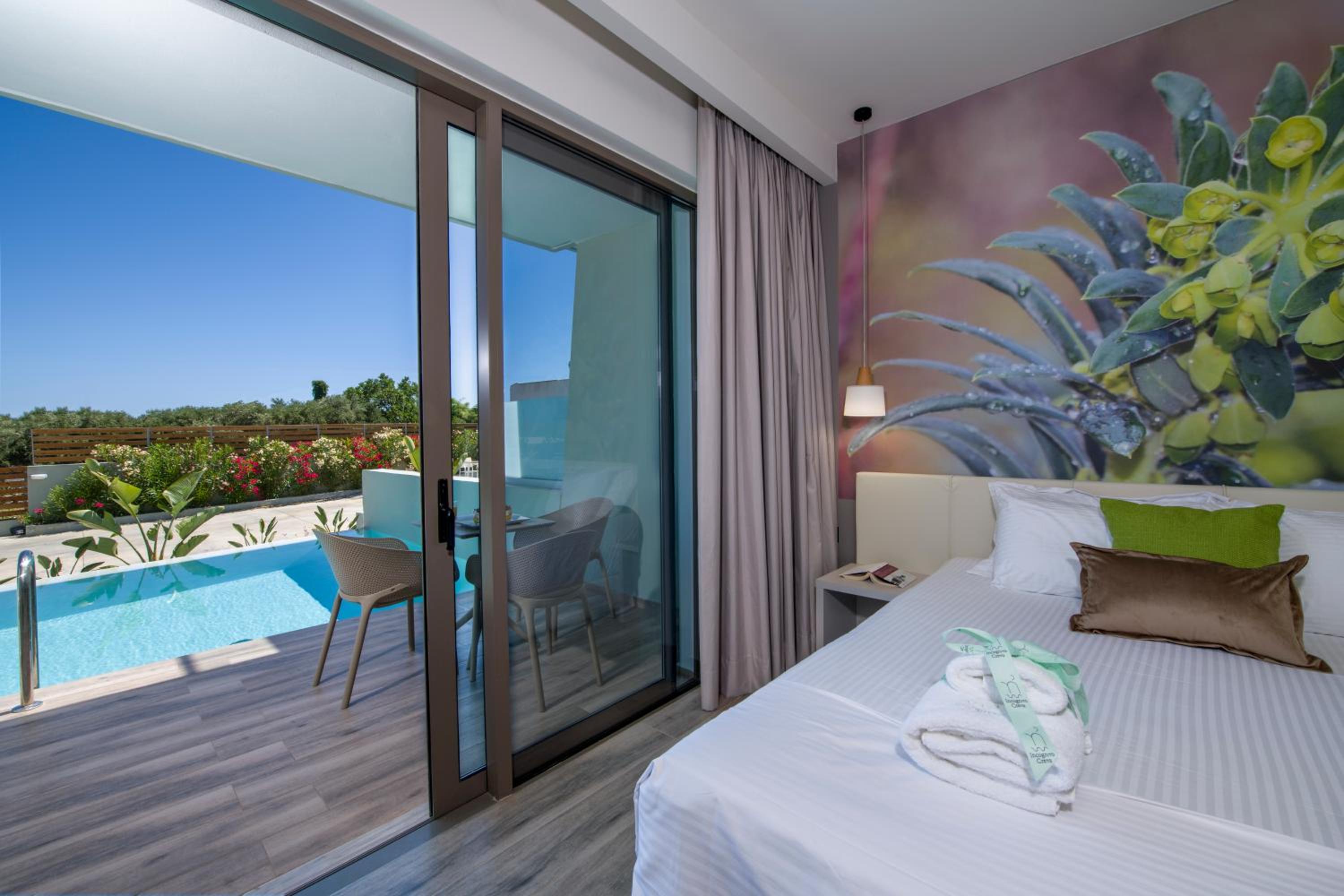 Deluxe Double Room photo 2