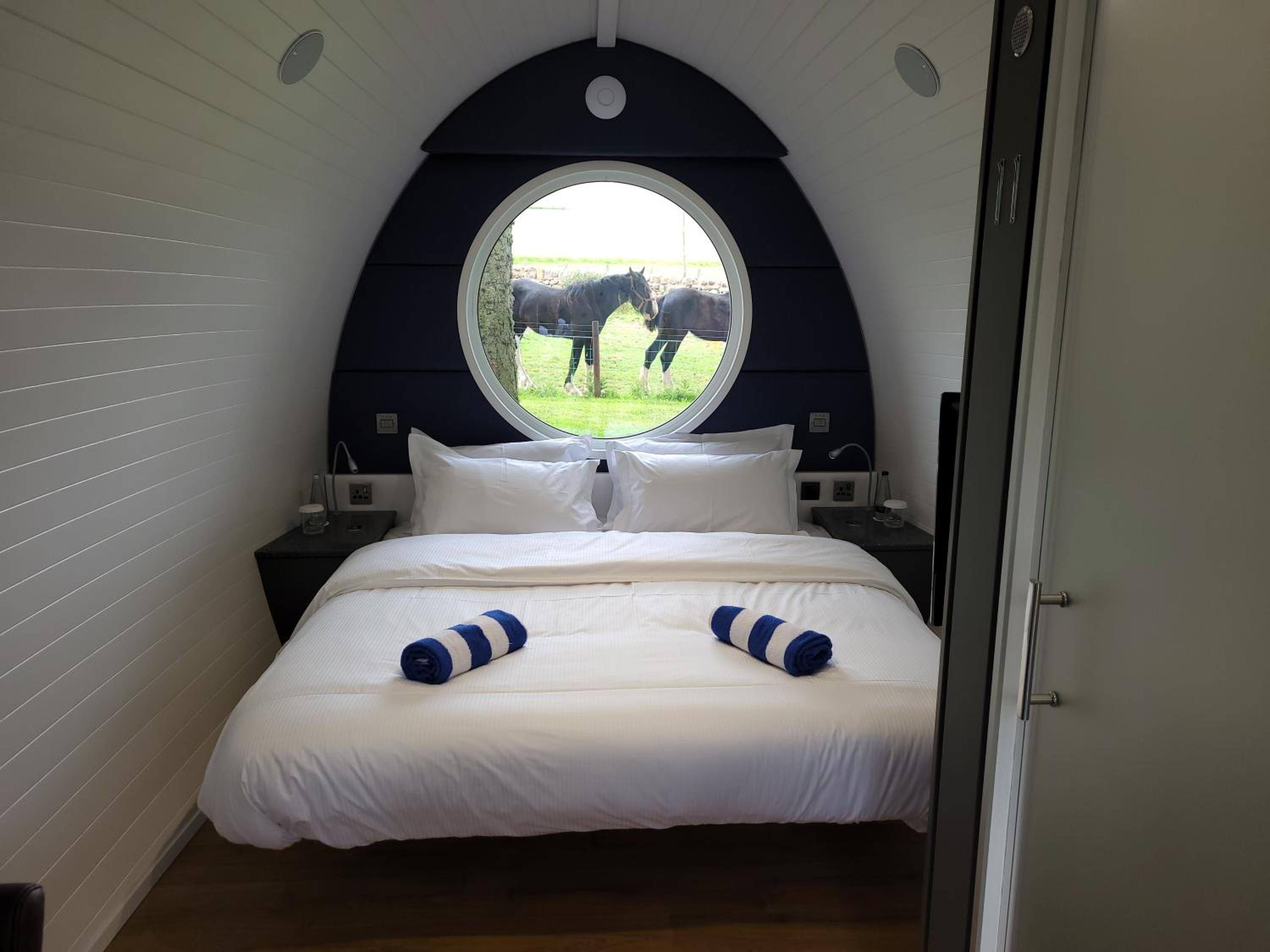 Meadow Suite Hotelier Pod - Photo 11