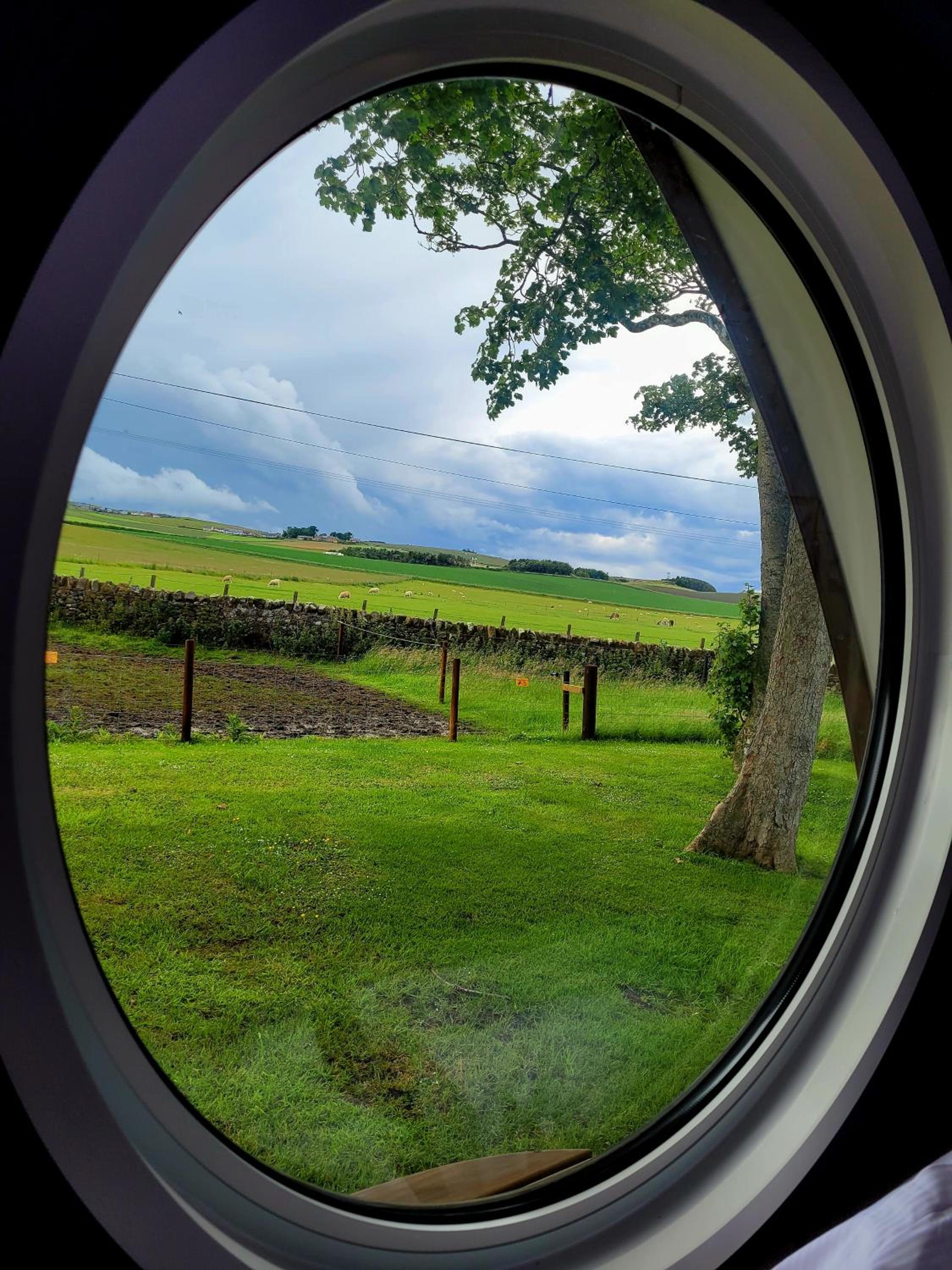 Meadow Suite Hotelier Pod - Photo 13