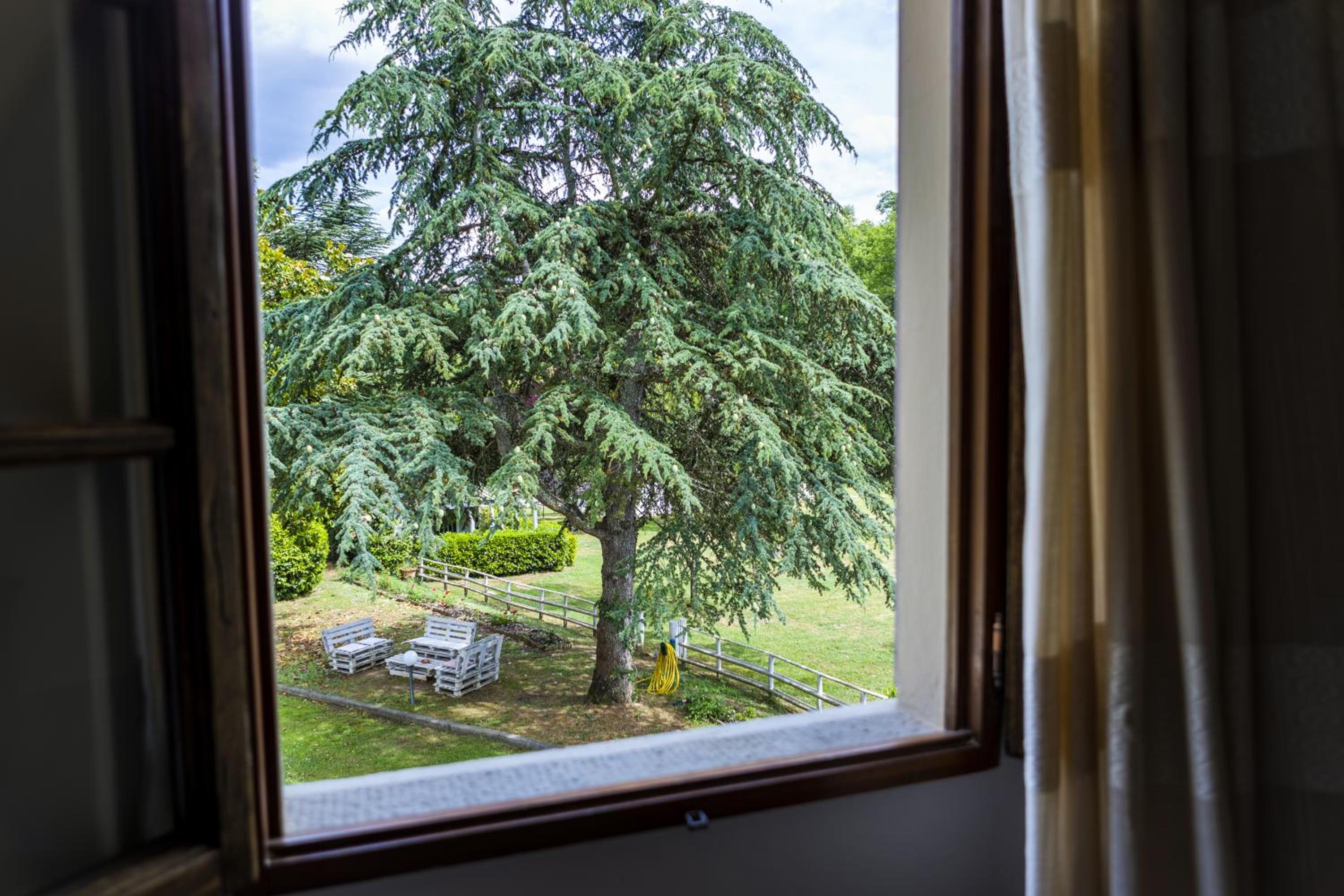 Junior Suite with Pool View photo 2