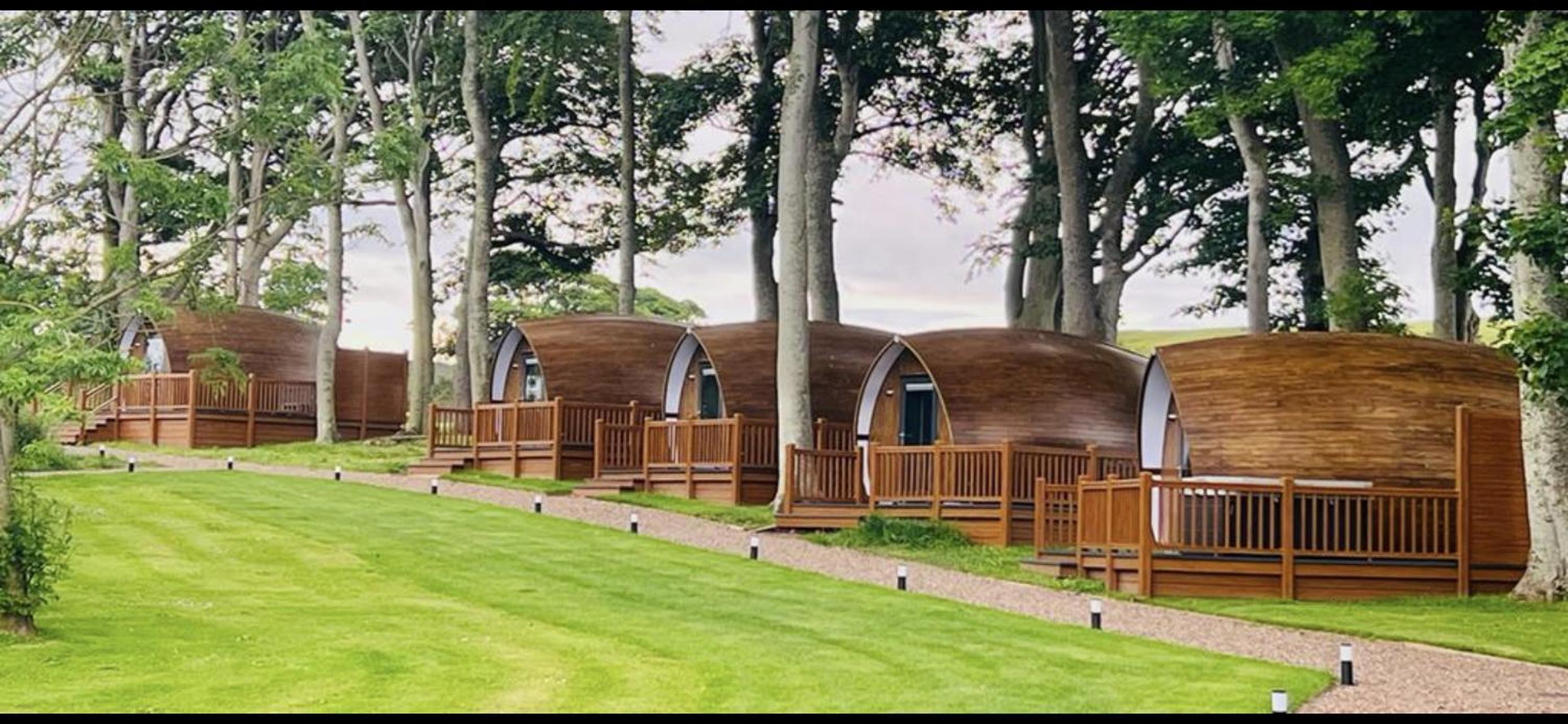 Meadow Suite Hotelier Pod - Photo 5