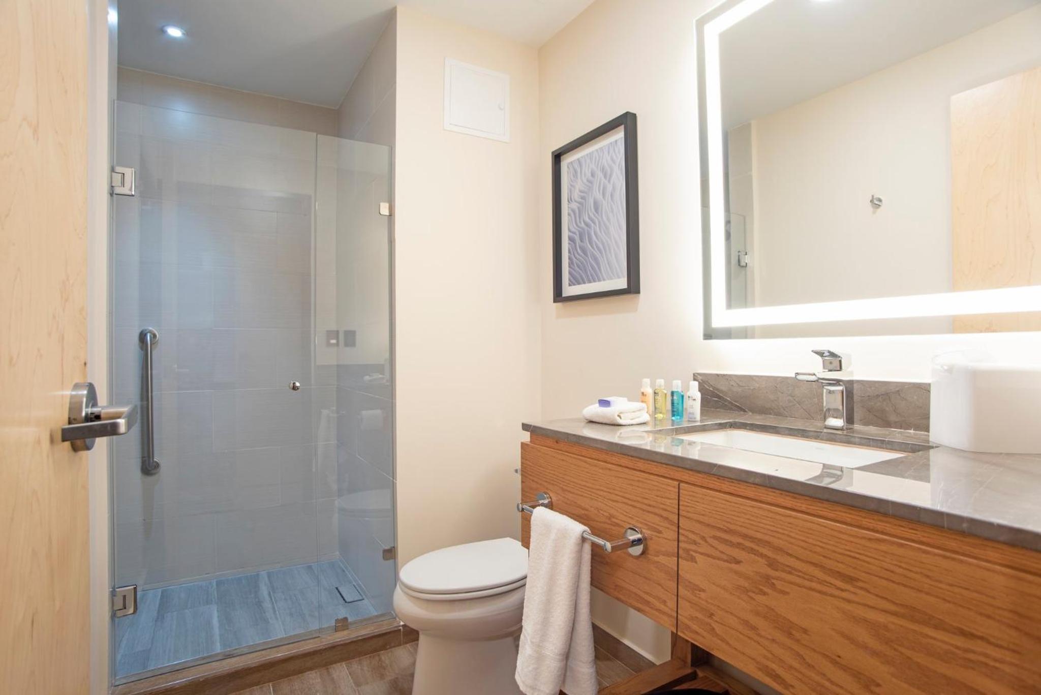 King Studio Suite - Photo 4