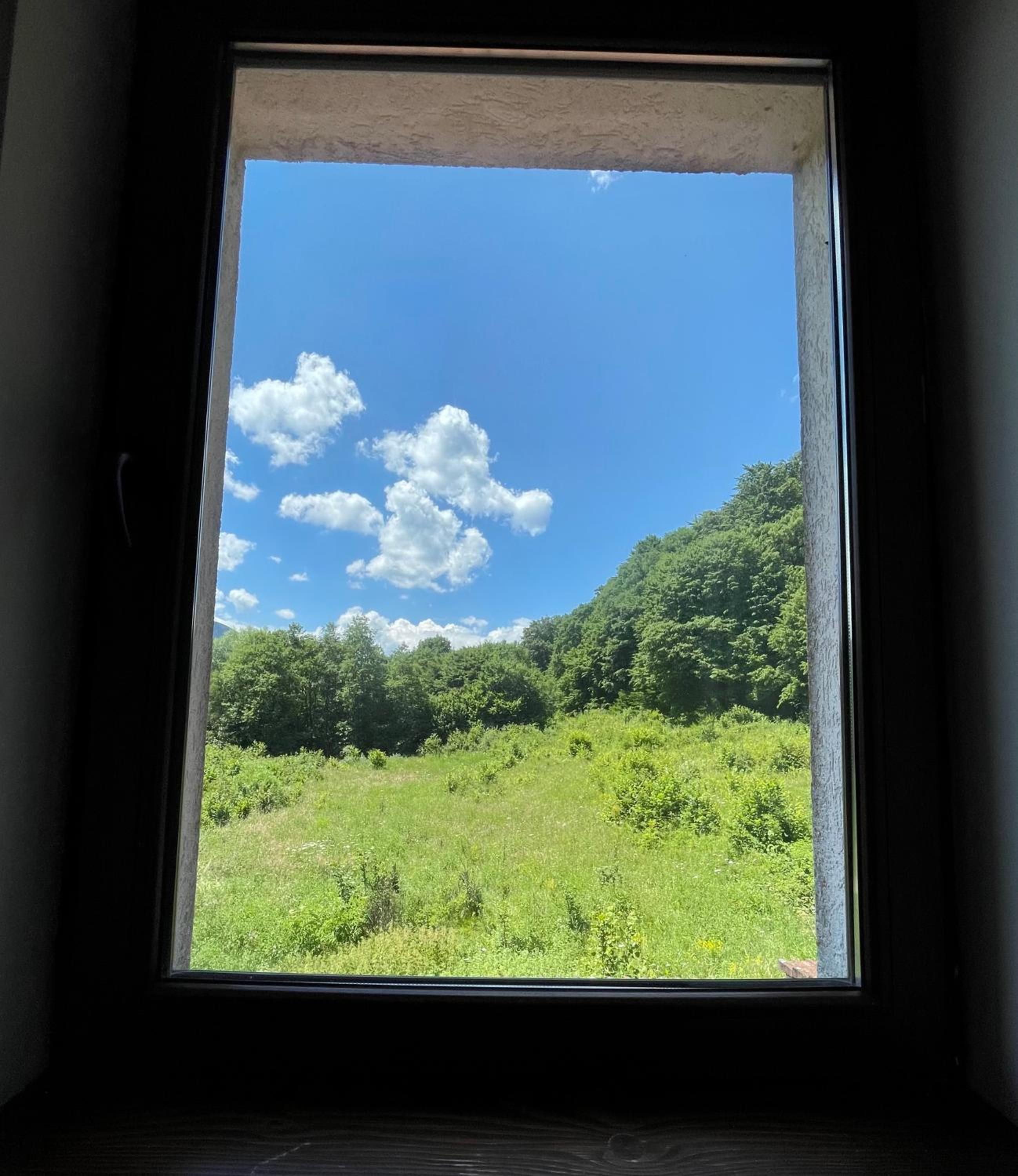 Standard Twin Room with Mountain View photo 3