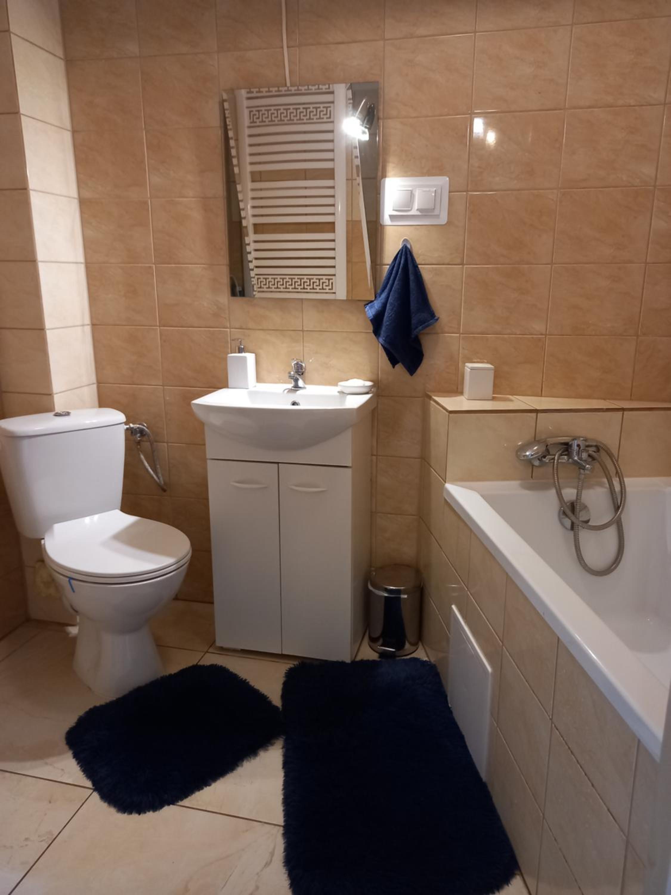 Two-Bedroom Apartment - Photo 4