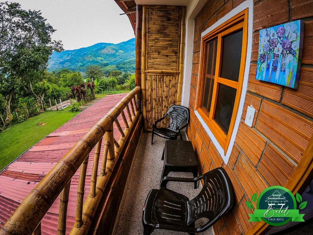 Double Room with Balcony photo 3