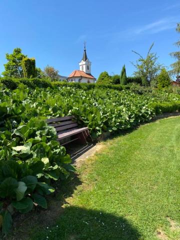 Four-Bedroom Apartment - Photo 10