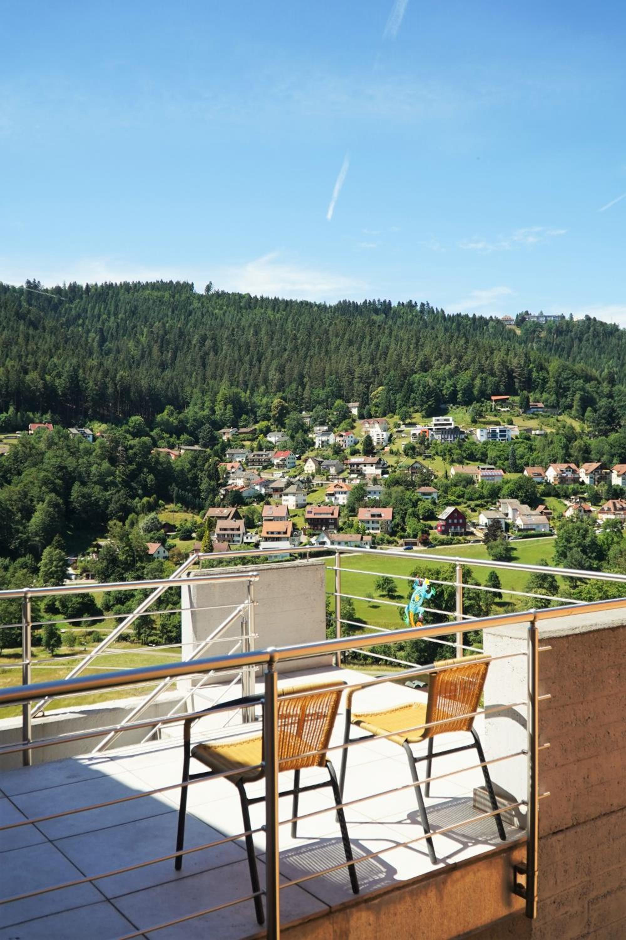 Studio with Mountain View - Photo 12