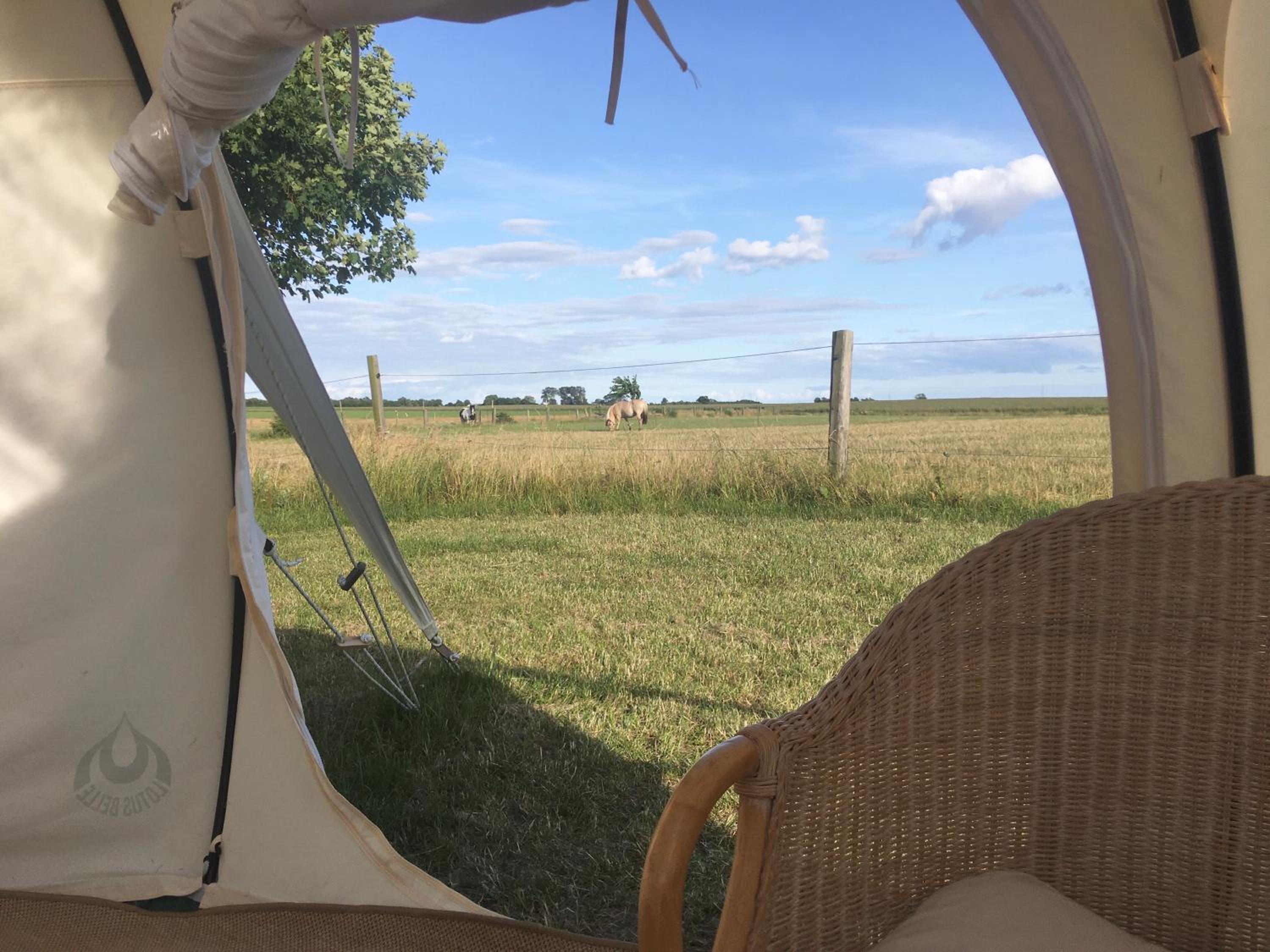 Tent photo 2