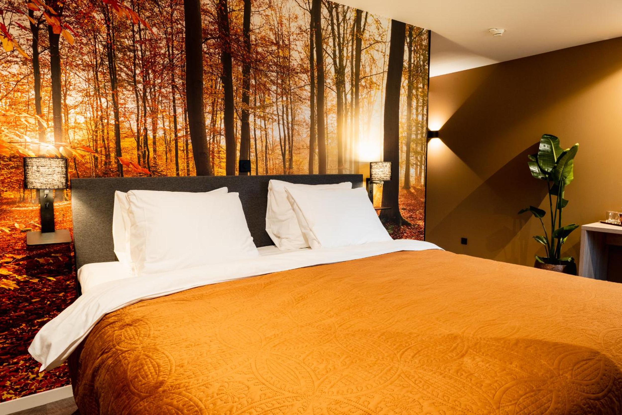 Superior Double Room - Photo 15
