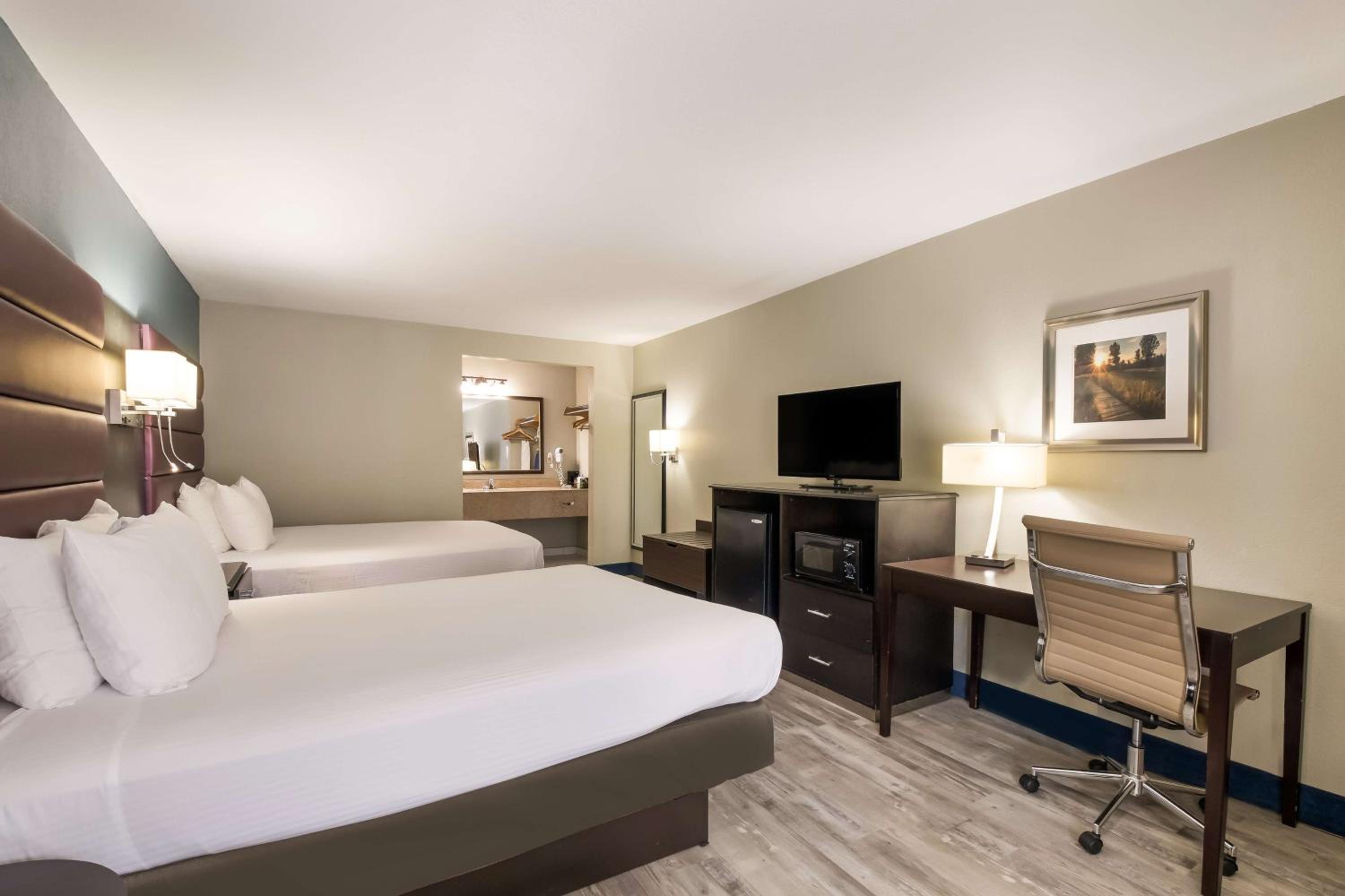 Oversize Queen Suite photo 1