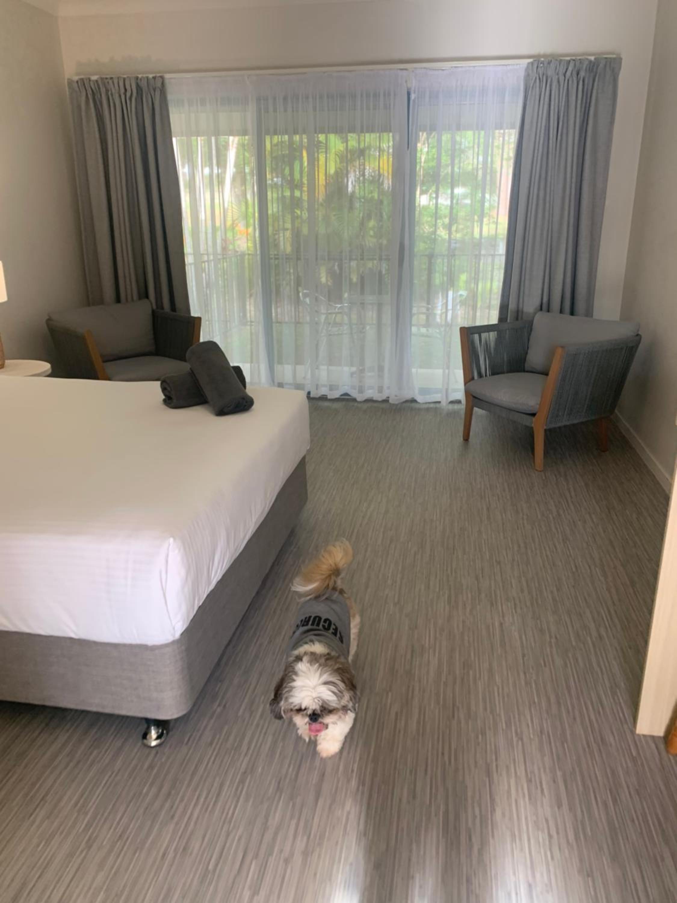 Queen Room - Pet Friendly - Photo 3