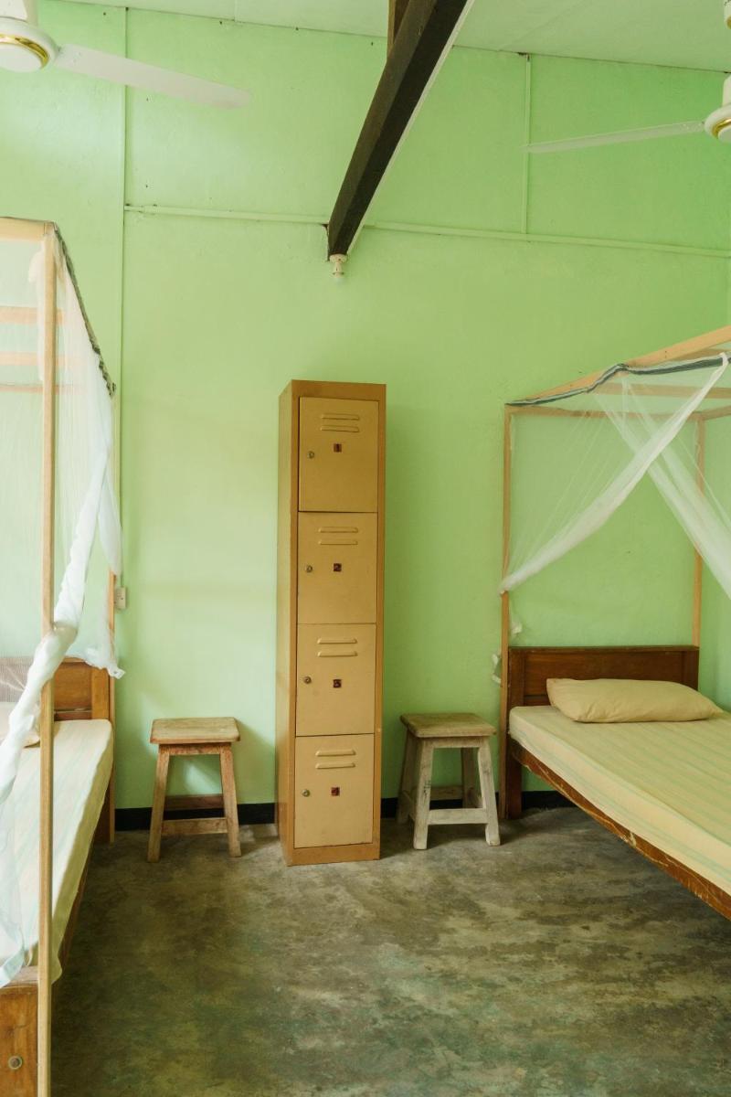 Bed in 4-Bed Mixed Dormitory Room photo 1