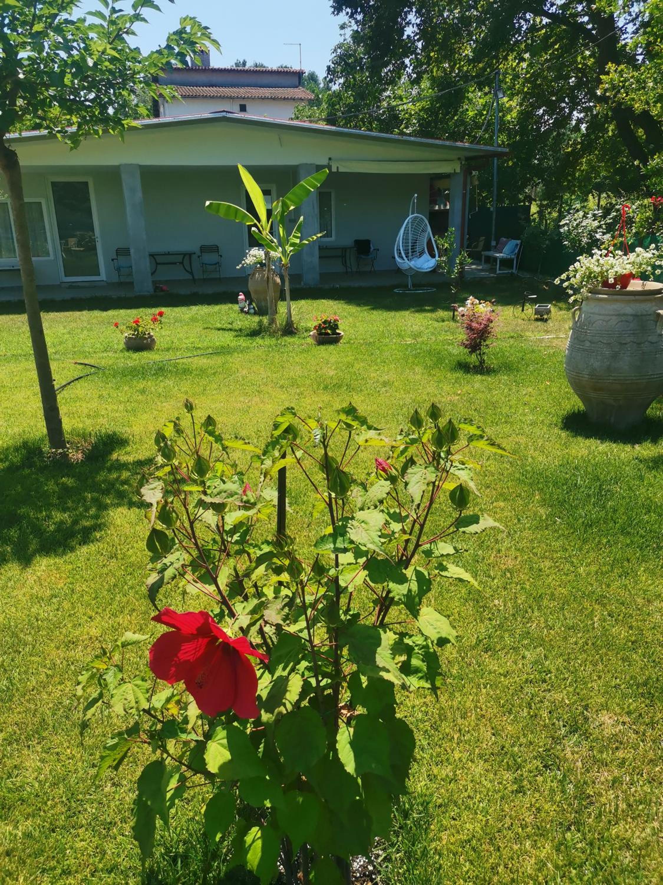 One-Bedroom Bungalow - Photo 16