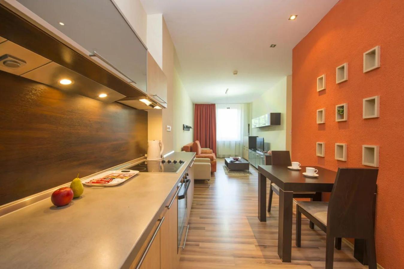 Deluxe Apartment - Photo 10