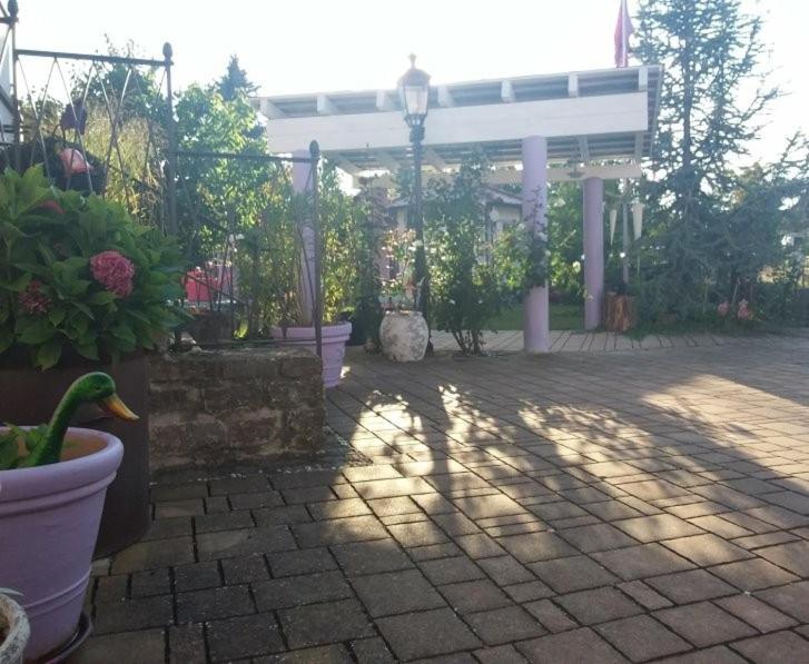 Apartment with Garden View photo 3